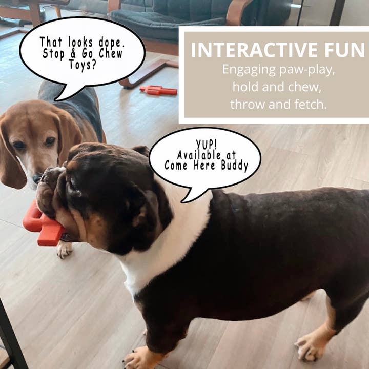 Come Here Buddy - Wholesale Pet Chew Toy - Dog - Dog Chew Toy - Stop & Go6