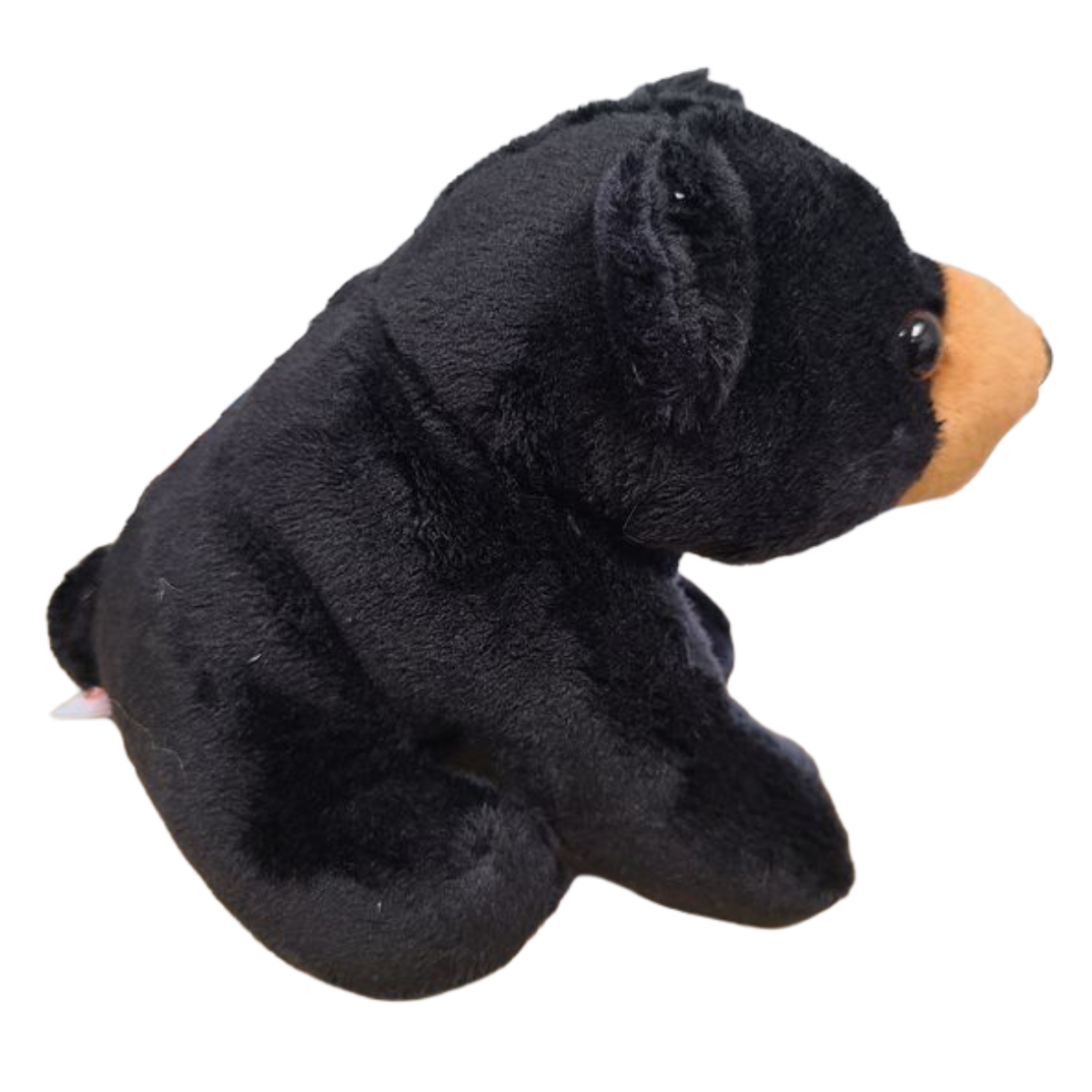 Canned Gifts - Wholesale Stuffed/Plush Toy - Kids & Baby - Russ the Canned Black Bear | Stuffed Zoo Plush w/Jokes |Gift6