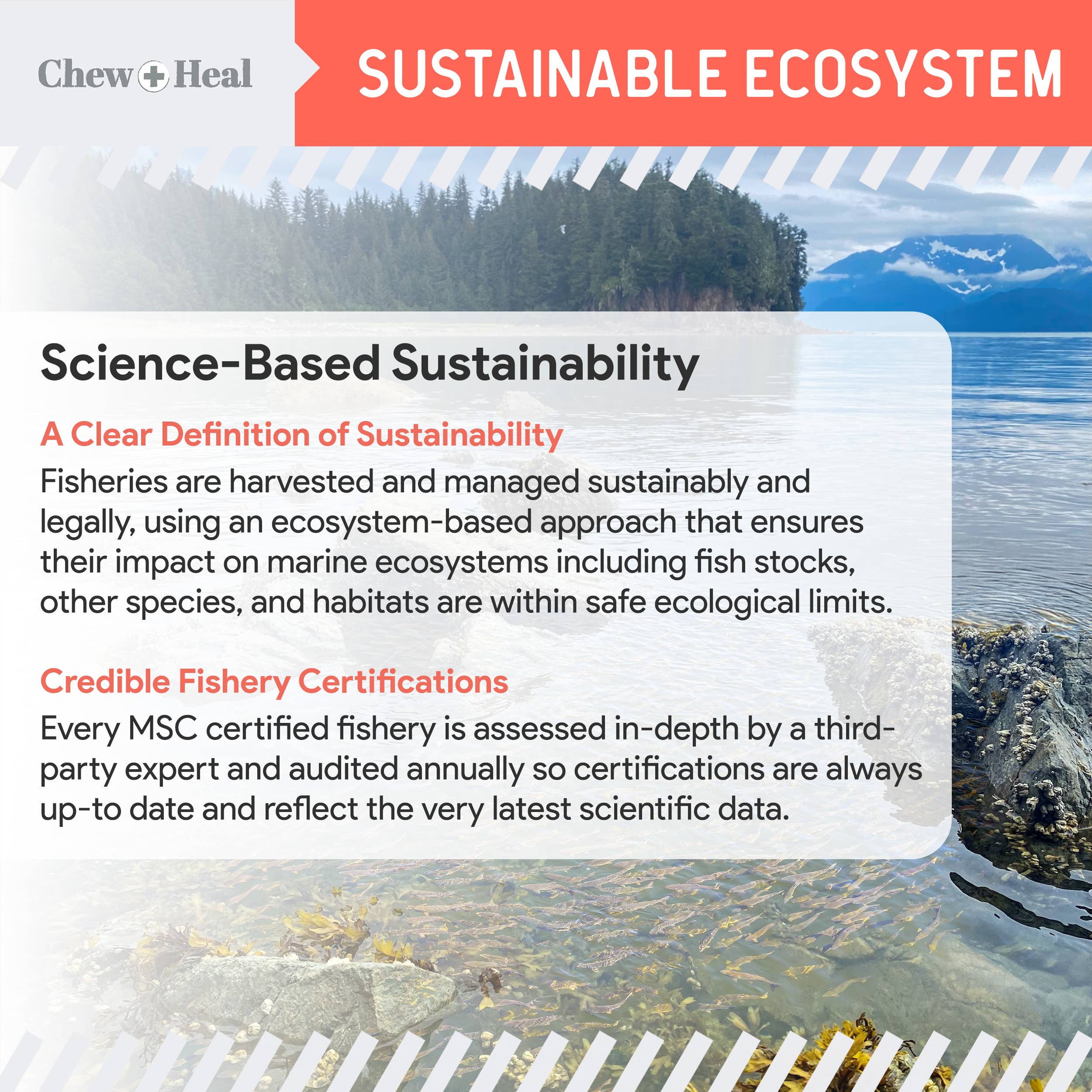 Chew + Heal - Wholesale Pet Supplement - Cat/Dog - MSC-Certified Sustainable Pure Wild Alaskan Salmon Oil2