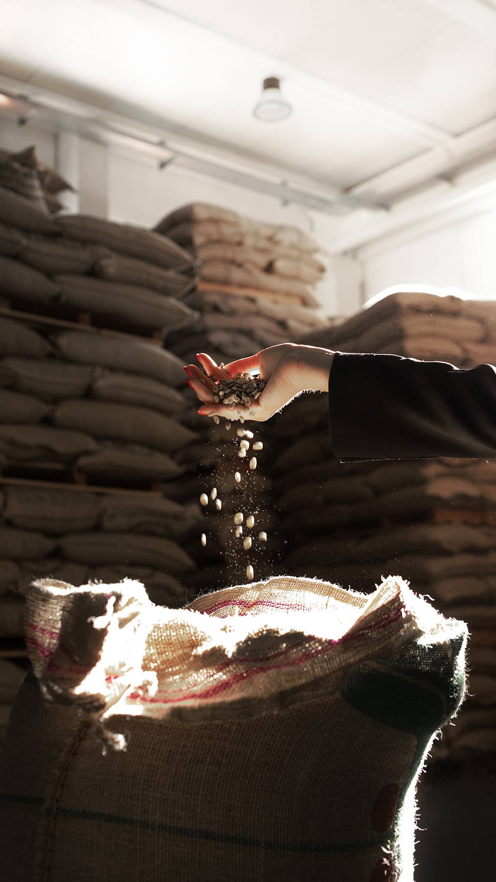 Zia Pia - Wholesale Coffee Beans - Whole Coffee Beans by Trucillo1