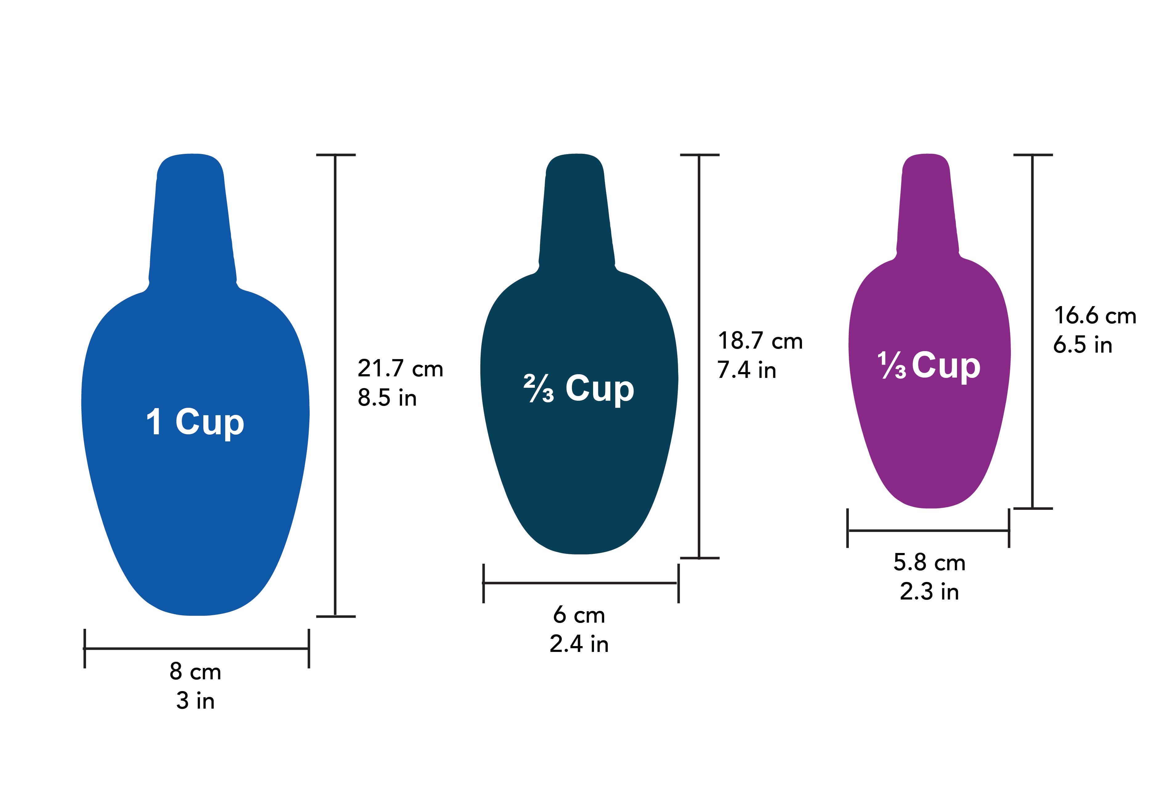 Assorted Colors Blue Green Purple KITCHEN BASICS Measuring Scoops 3/ST Plastic for wholesale on Faire2