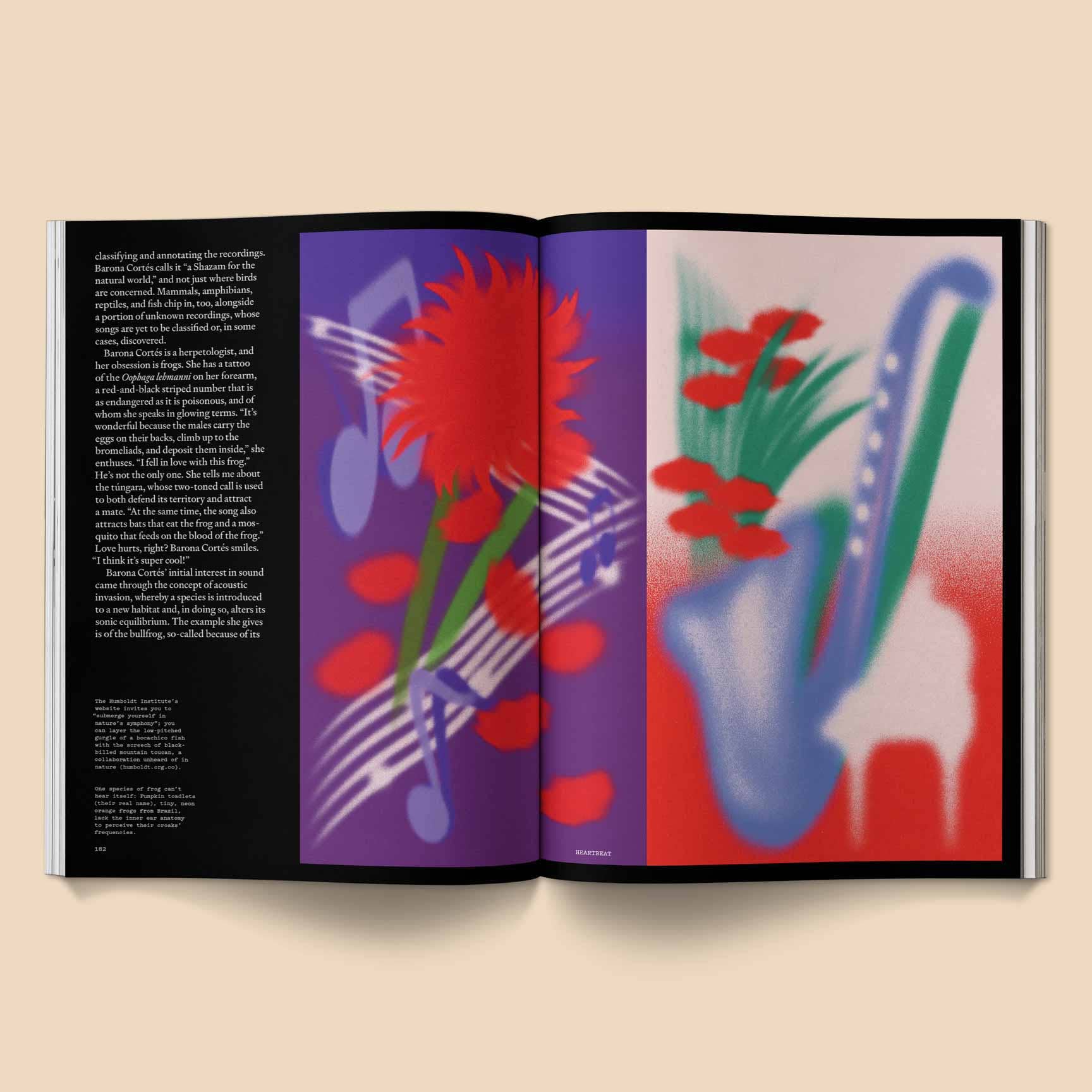 Broccoli - Wholesale Magazine - Heartbeat Magazine: Music, Sound, Emotion2