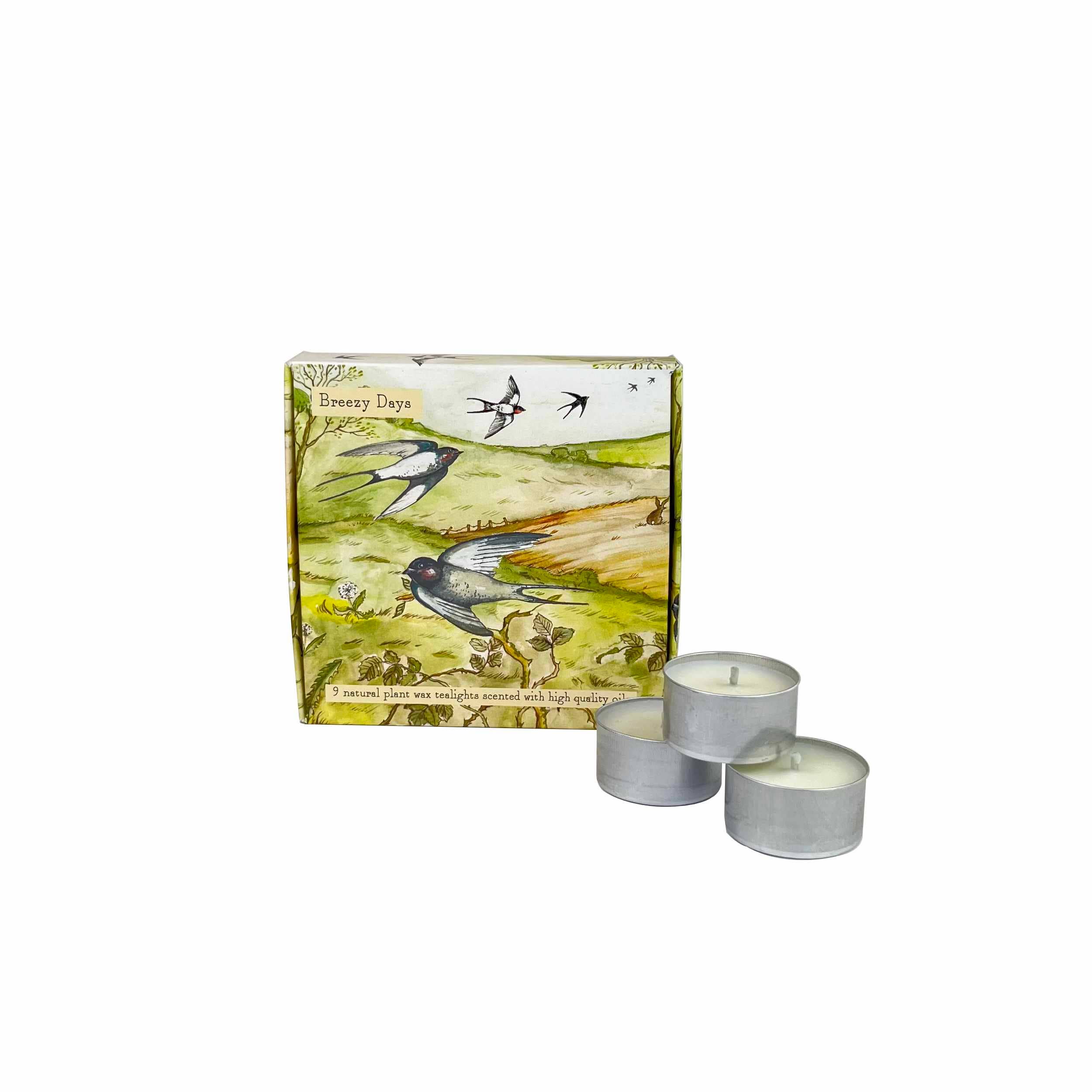 Heaven Scent Incense Ltd - Wholesale Tea light candles - New Illustrated Range - Box of 9 Scented Tealights6