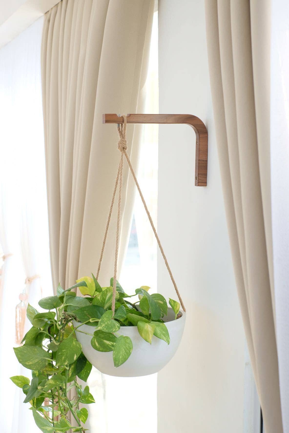 Kanso Designs - Wholesale Wall Planter - Wooden Plant Hanger Hook11