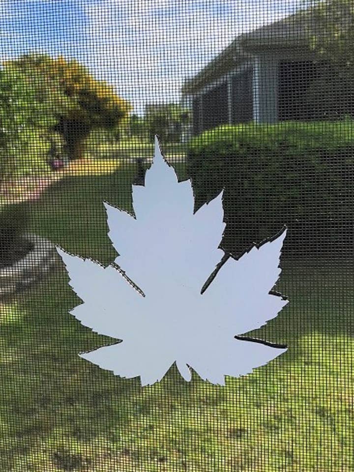 DCentral Maple Leaf Fleksibel Screen Magnet-Størrelse 4,8 „x 5.1" for engroshandel hos DCentral Magnetics
