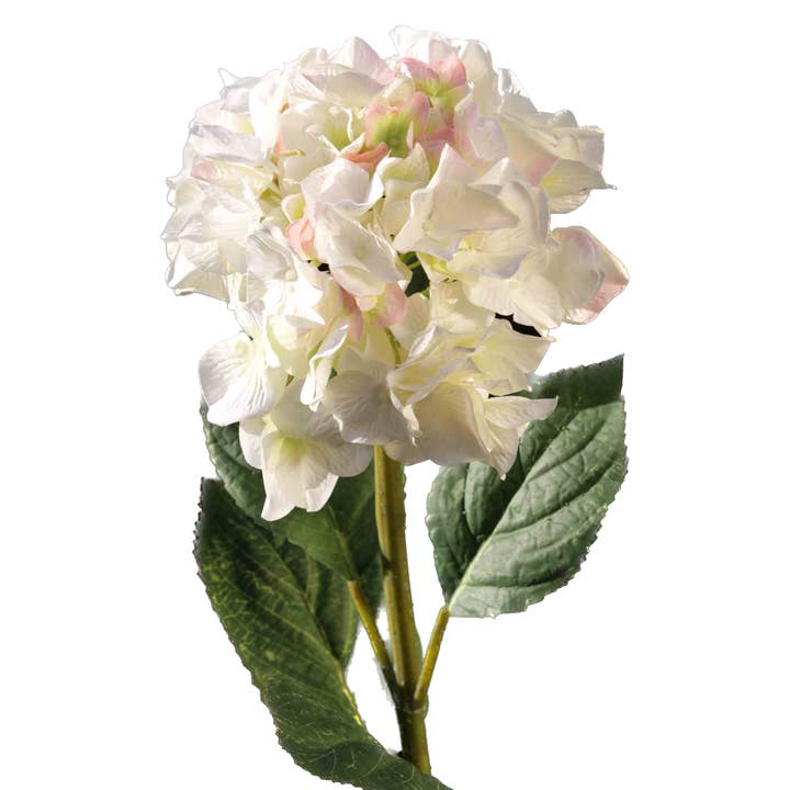 Mezu Silk Flowers - Wholesale Artificial flowers - Artificial Large White tipped pink & Green Hydrangea1