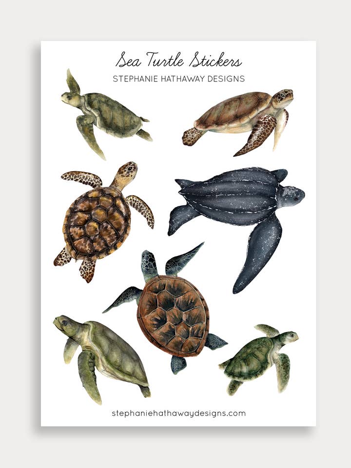 Havskildpadde-klistermærker klistermærkeark for engroshandel hos Stephanie Hathaway Designs