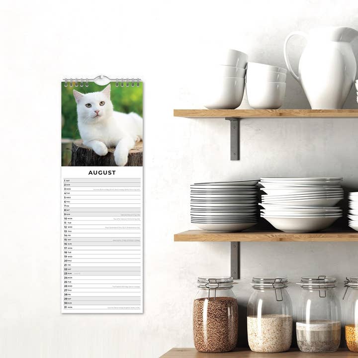 MiddleGift - Wholesale Calendar - Red Robin 2026 Cats & Kittens Monthly Slim Calendar3