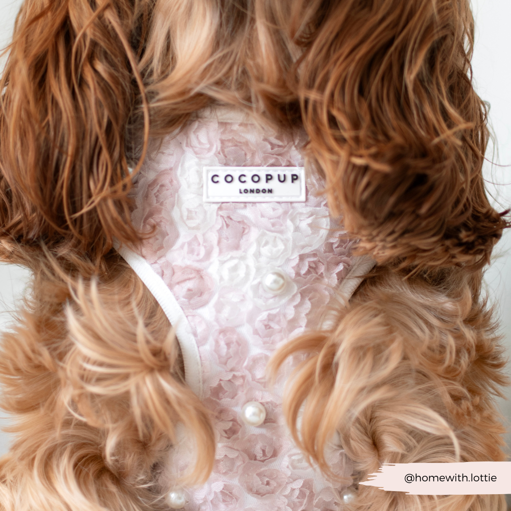 Cocopup London - Wholesale Tuig voor huisdieren - Hond - Cocopup London Pearly Pup verstelbare halsband voor honden10