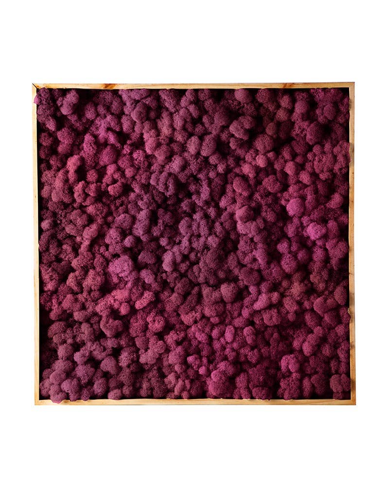 SuperMoss - Wholesale Wall Accent - Vertical Gardens - Reindeer Moss Walls7