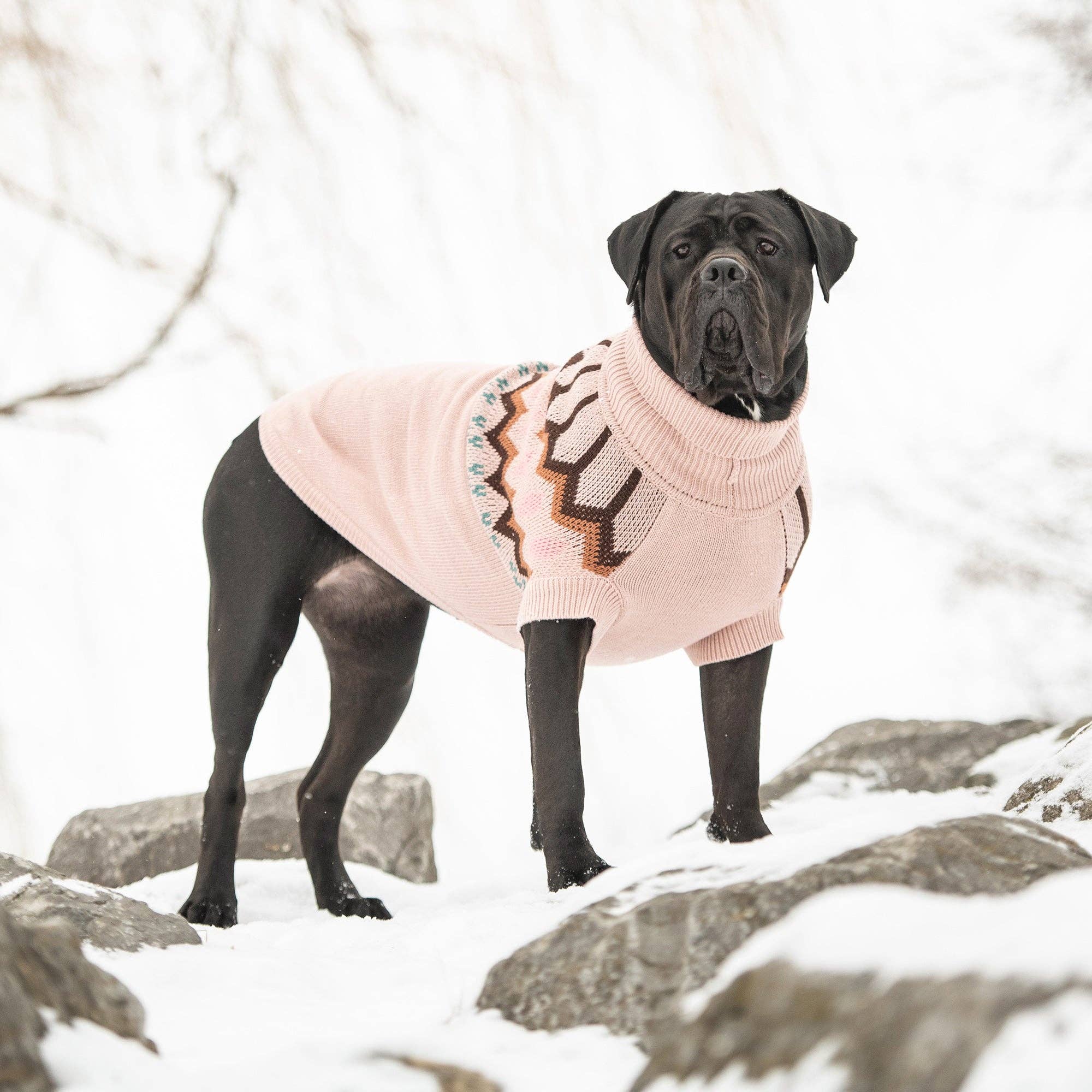 GF Pet - Wholesale Pet Sweater - Dog - GF Pet Heritage Sweater - Pink4