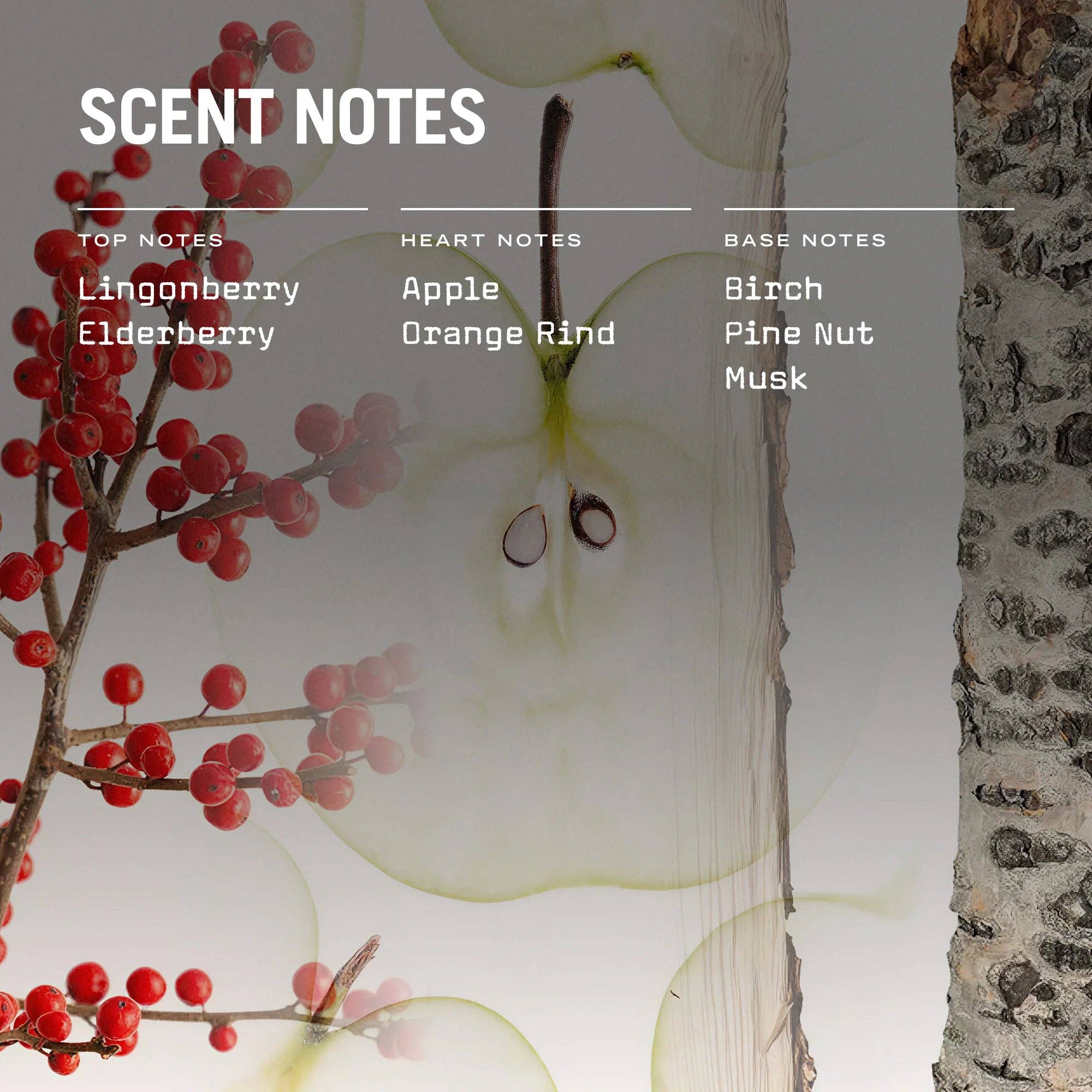 Russell + White – wholesale Jar/filled candle – Lingonberry 250g Scented Soy Candle4