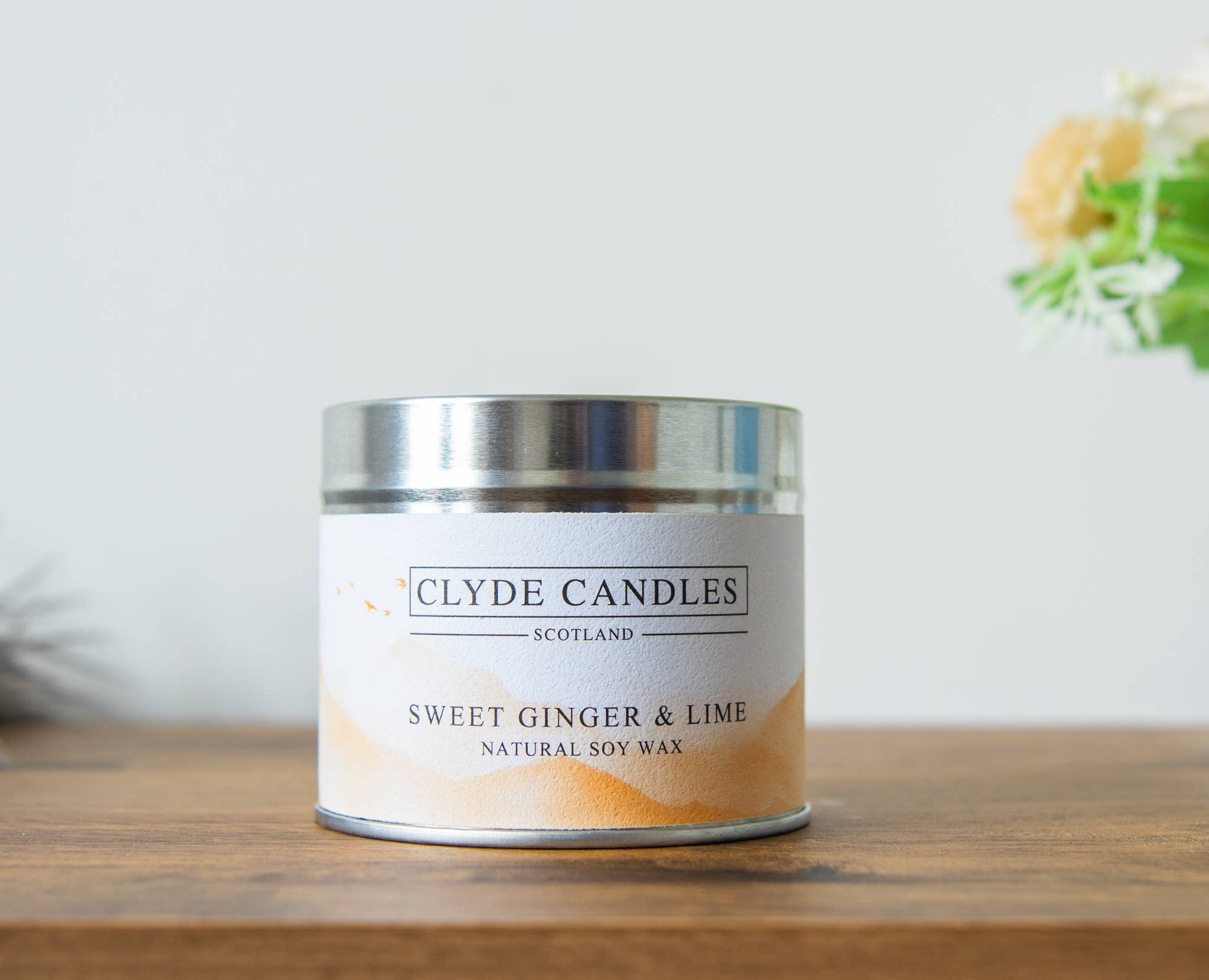 CLYDE CANDLES – wholesale Travel candles – Sweet Ginger & Lime Candle Tin
