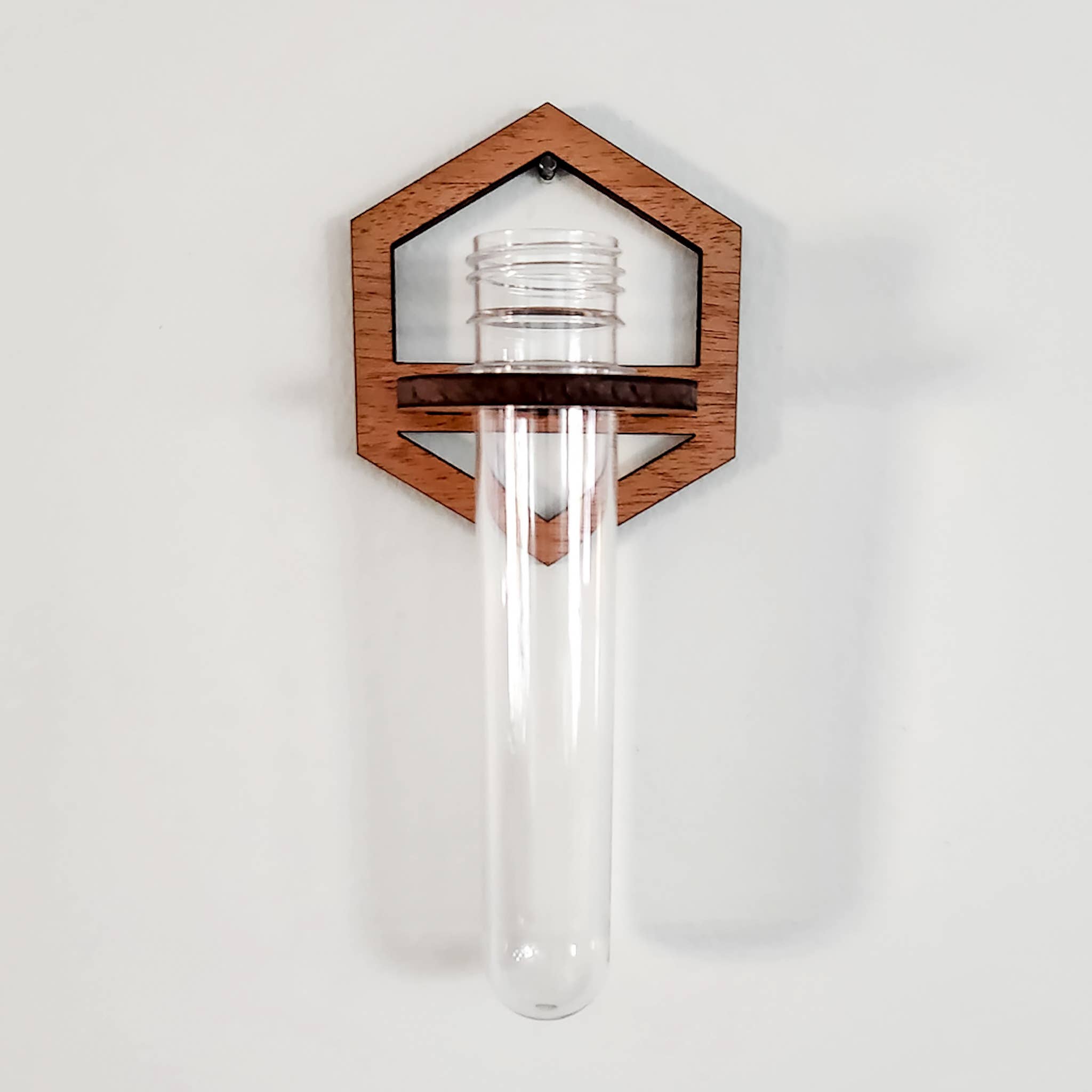 Leaf & Node - Wholesale Hanging Planter - Wall Hanging Propagation Station - Wooden Hexagon Outline3