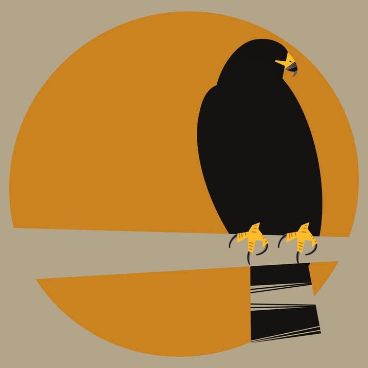 GREETING CARD | Zone-Tailed Hawk - Threatened for wholesale by Juliet Whitsett Art