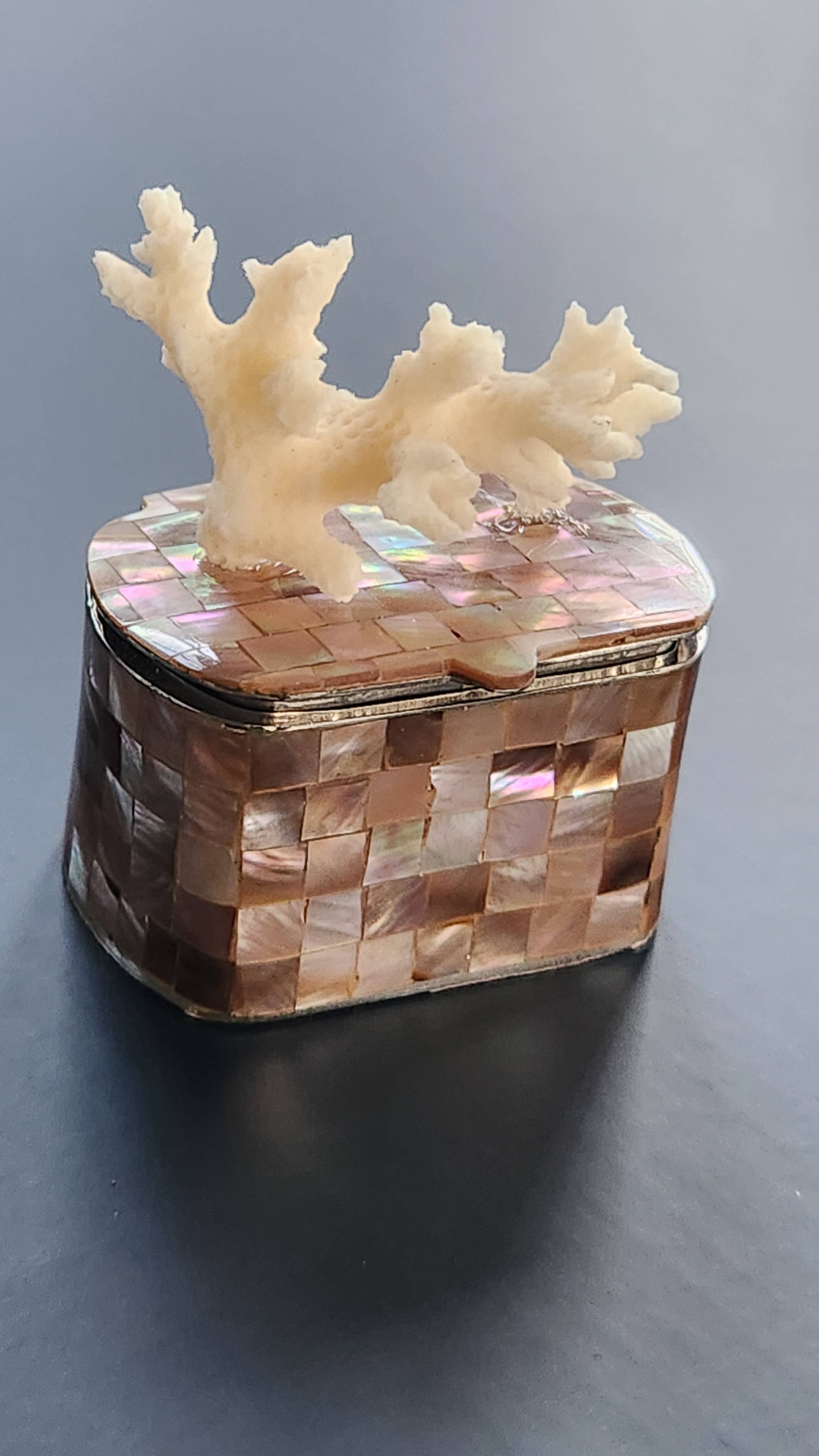 White Tulip Boutique - Wholesale Decorative Box - Mini Tawny Abalone MOP Shell Trinket Pill Box1