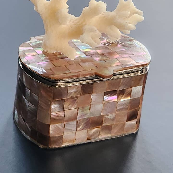 White Tulip Boutique - Wholesale Decorative Box - Mini Tawny Abalone MOP Shell Trinket Pill Box1