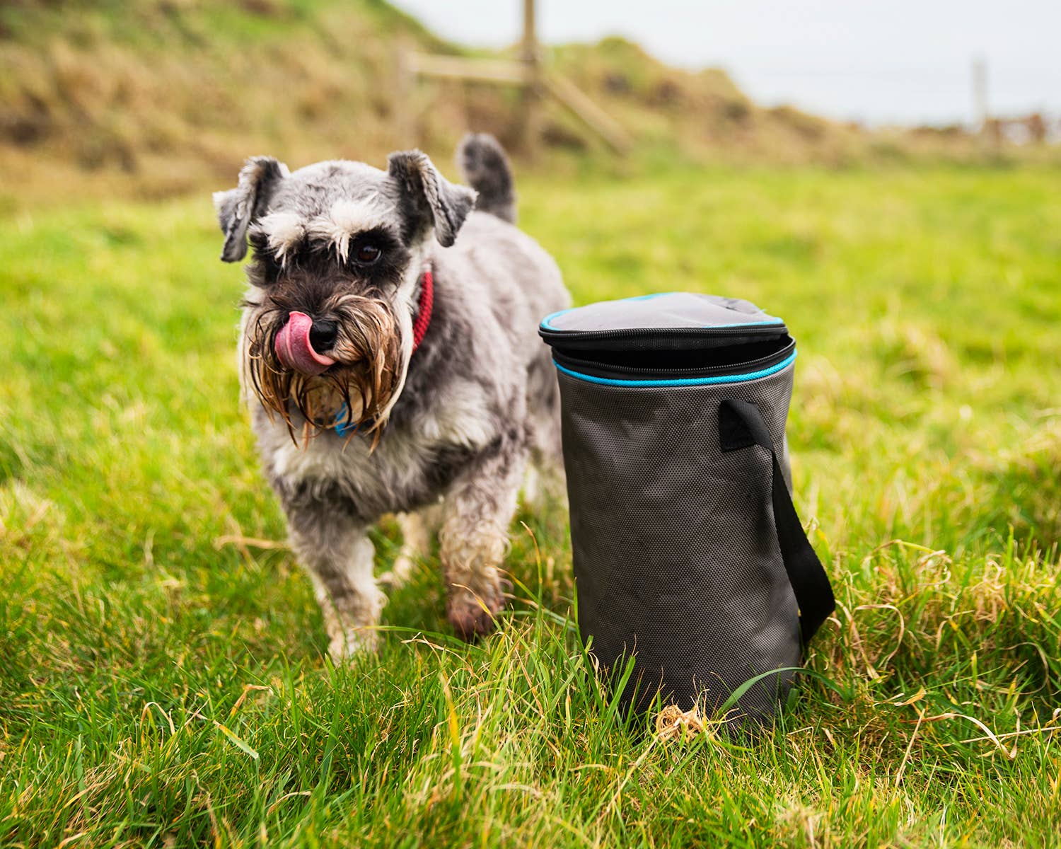 Henry Wag – wholesale Pet treat bag – Dog – Henry Wag Pet Snack Pack Travel Food Bag1