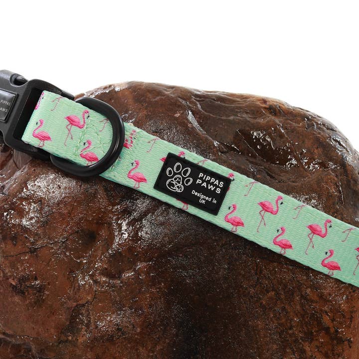 Funky Flamingo Collar for wholesale by Pippa's Paws