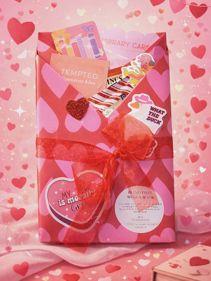 Valentines Day Blind Date With A Book - New Book - Deluxe for wholesale by Bearly Hyde N Cabin Used Books & Gifts