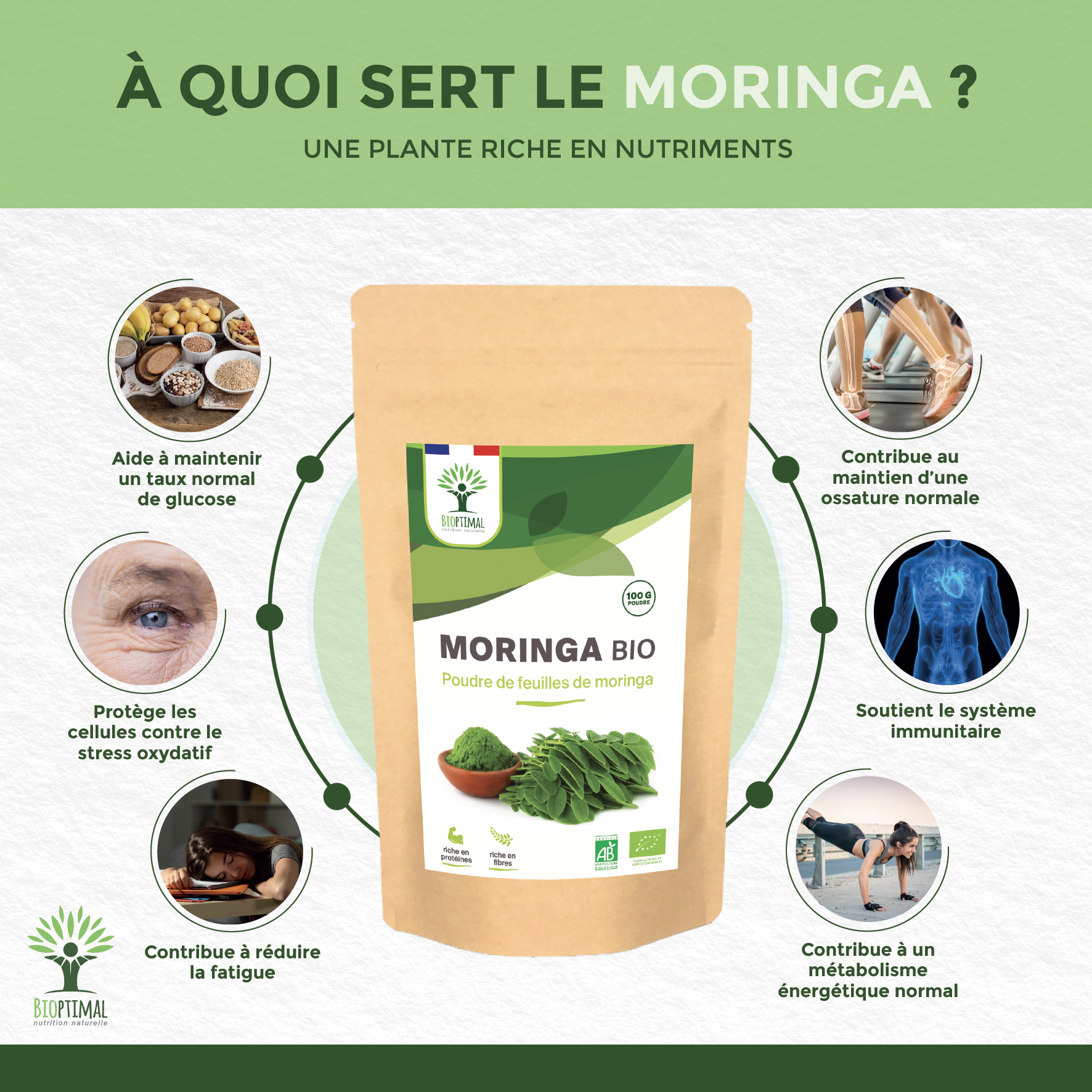 Bioptimal - Wholesale Protein/Superfood Powder - Organic Moringa powder - Packaged in France - Vegan4