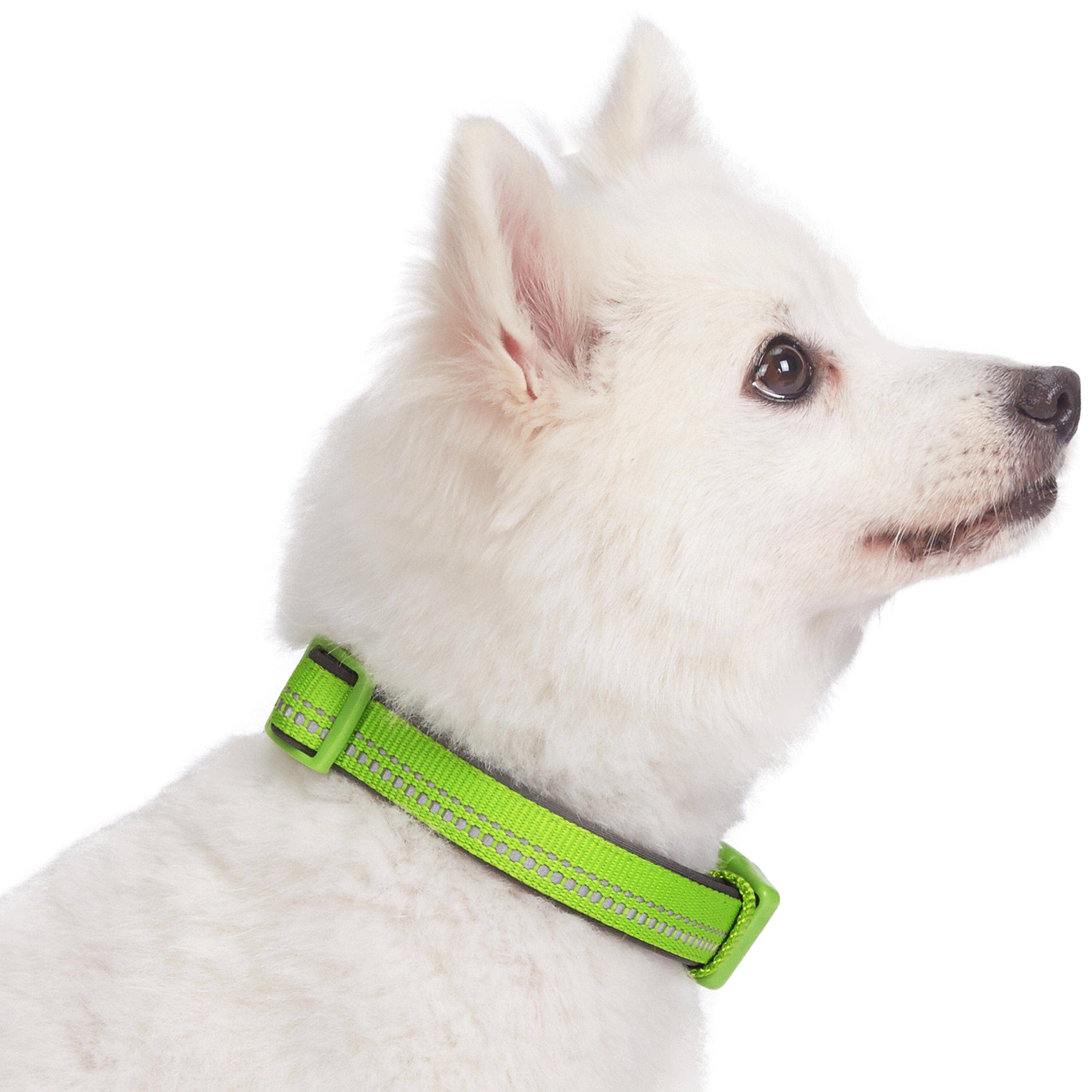 Blueberry Pet - Vente Collier – chien - Collier de sécurité rembourré en néoprène souple réfléchissant 3M2