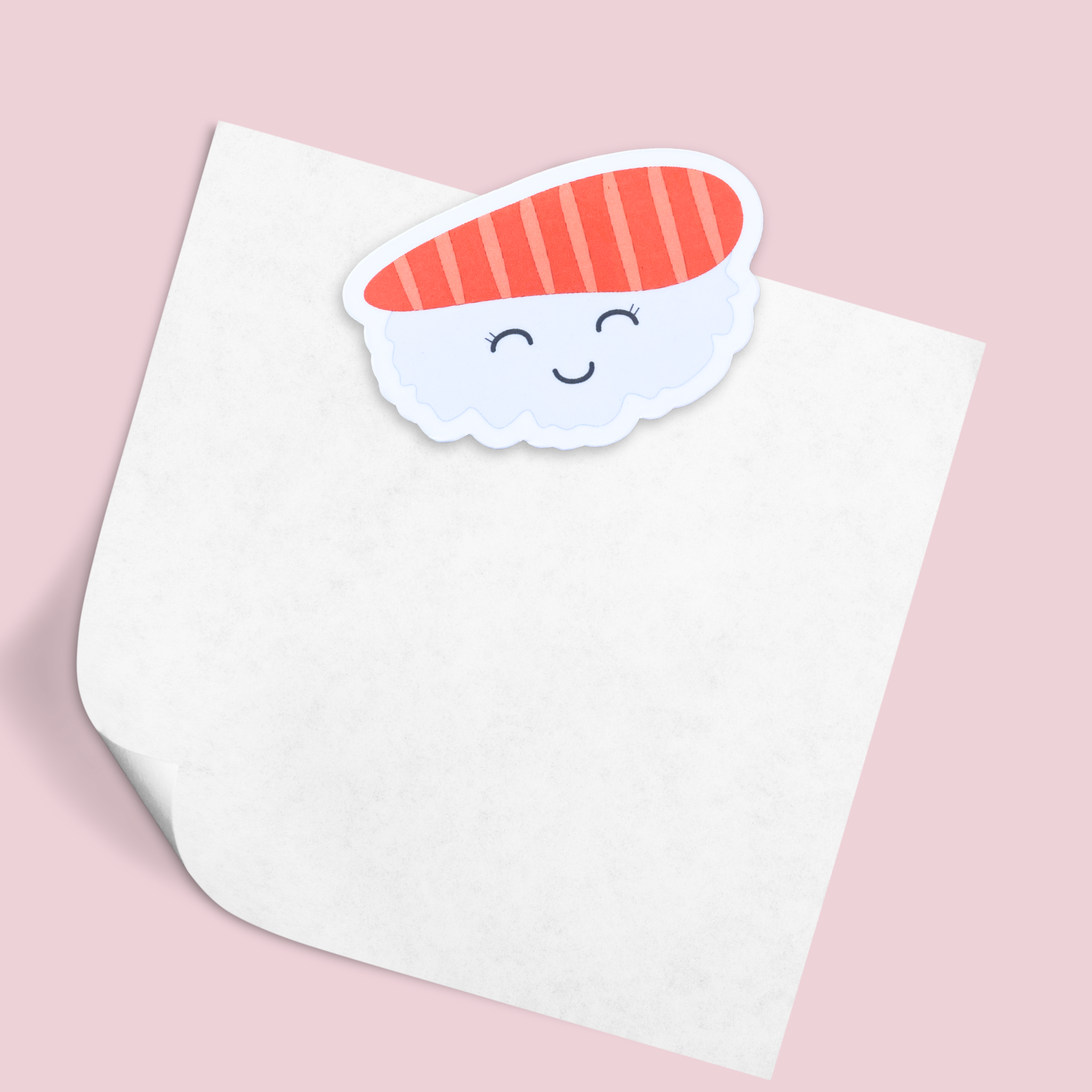 Atelier Naholi - Vendita all'ingrosso Calamite - Magnete - riso per sushi0