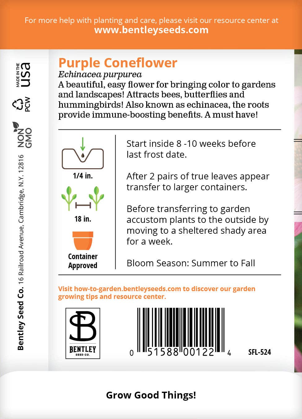 Bentley Seed Co. - Wholesale Plant Seeds - Purple Coneflower (Echinacea) Seed Packets1