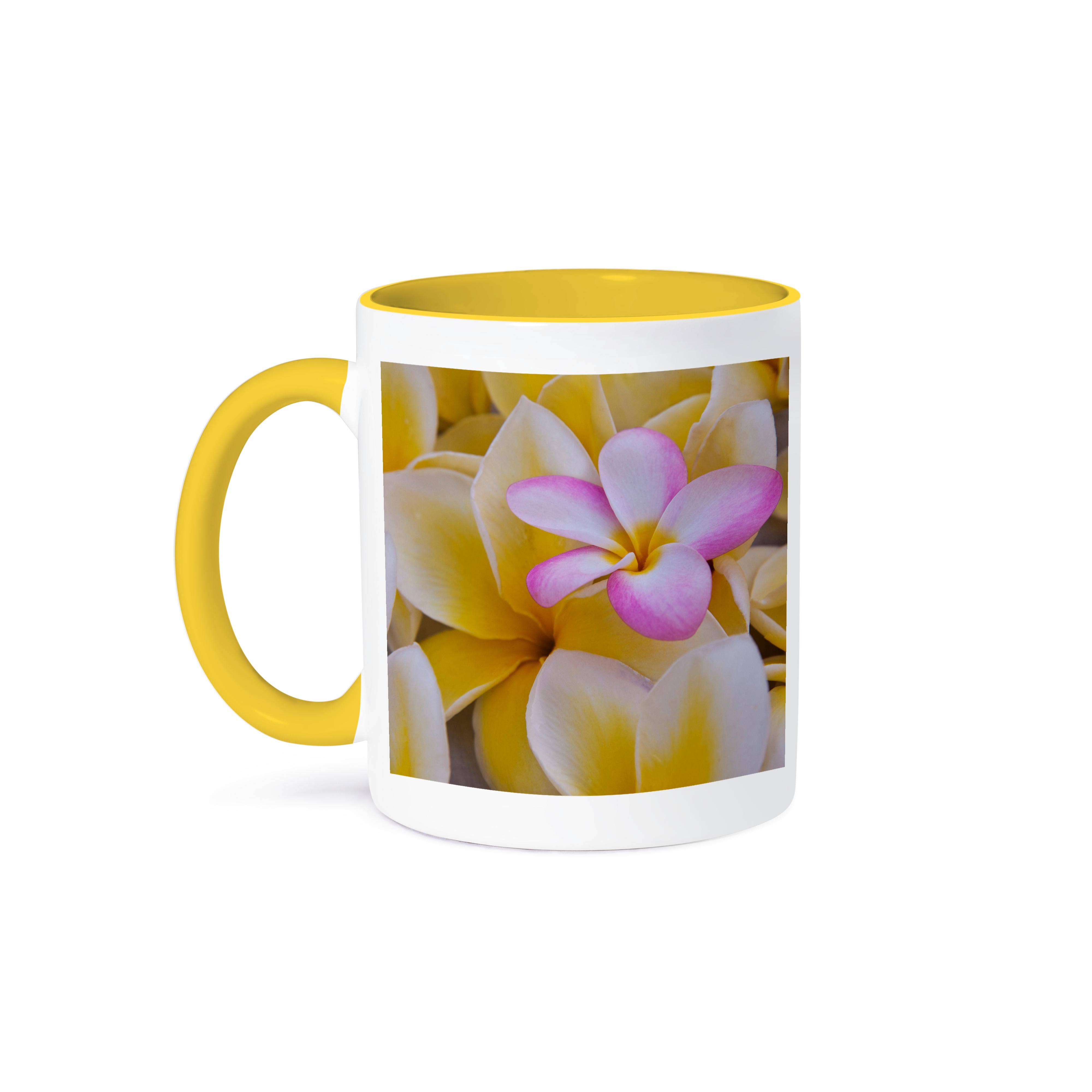 3dRose - Wholesale Coffee Mug - 3dRose, USA, Hawaii, Oahu, Plumeria flowers blooming, Mug0