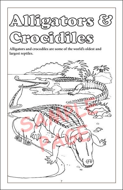 Really Big Coloring Books | ColoringBook.com - Vente Livre de coloriage et d'activités pour enfants et bébés - Paquet de 12 créatures préhistoriques 5,5 « x8.5"2