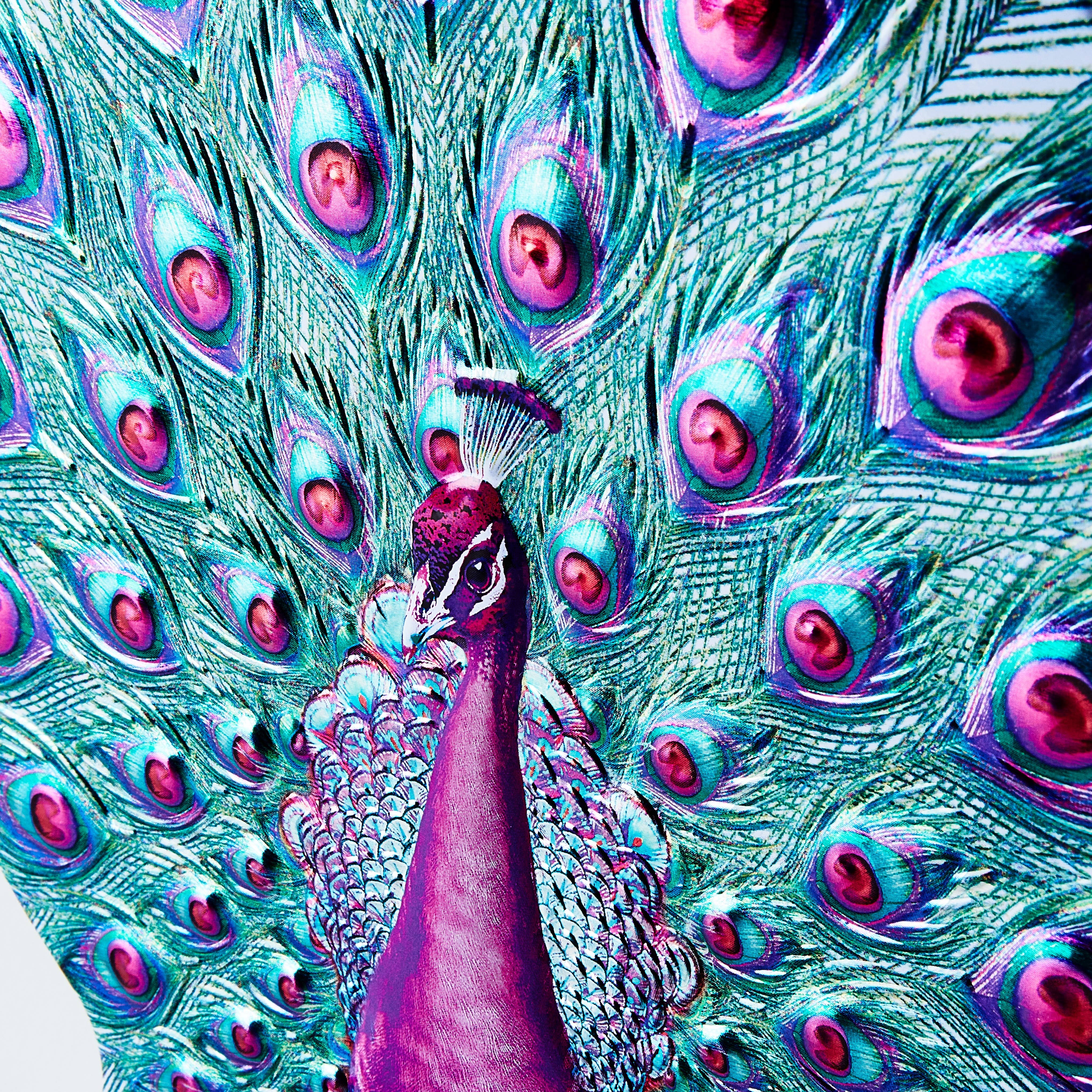 Churchill's Confectionery – wholesale Biscuit – Royal Peacock Gift Tin with Shortbread Petticoat Tail 2