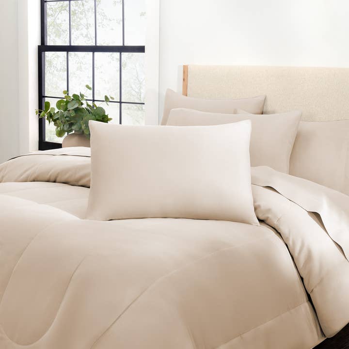 Arkwright Home - Wholesale Bedding Set - Family Essentials Bed in a Bag Comforter Set
