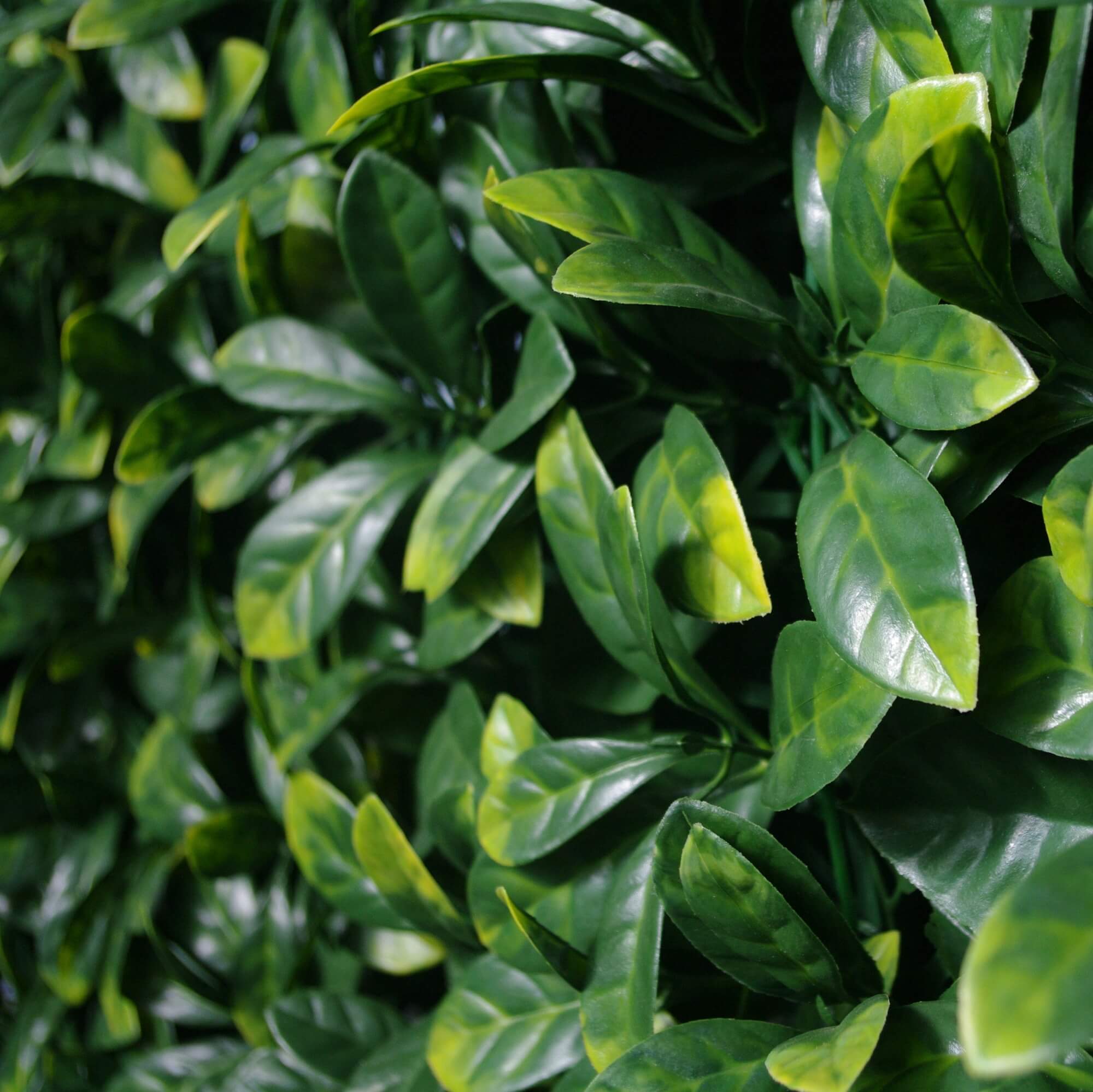 Designer Plants - Wholesale Artificial Plant - Premium Laurel Artificial Vertical Garden Wall 40" x 40" 11SQ FT Commercial Grade UV Resistant0