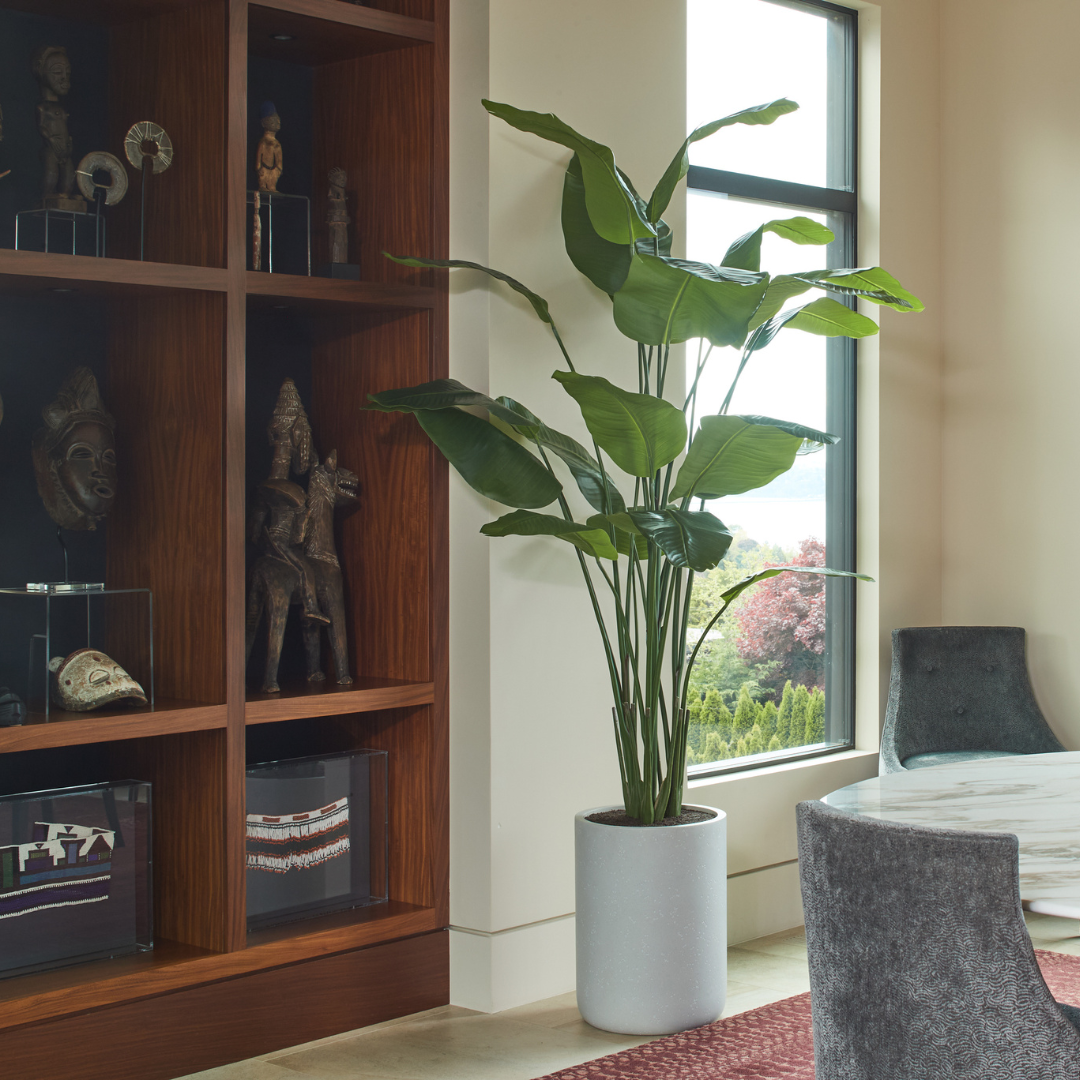 CG Hunter - Wholesale Artificial Plant - 8' Bird of Paradise Tree in Modern Gray Planter3