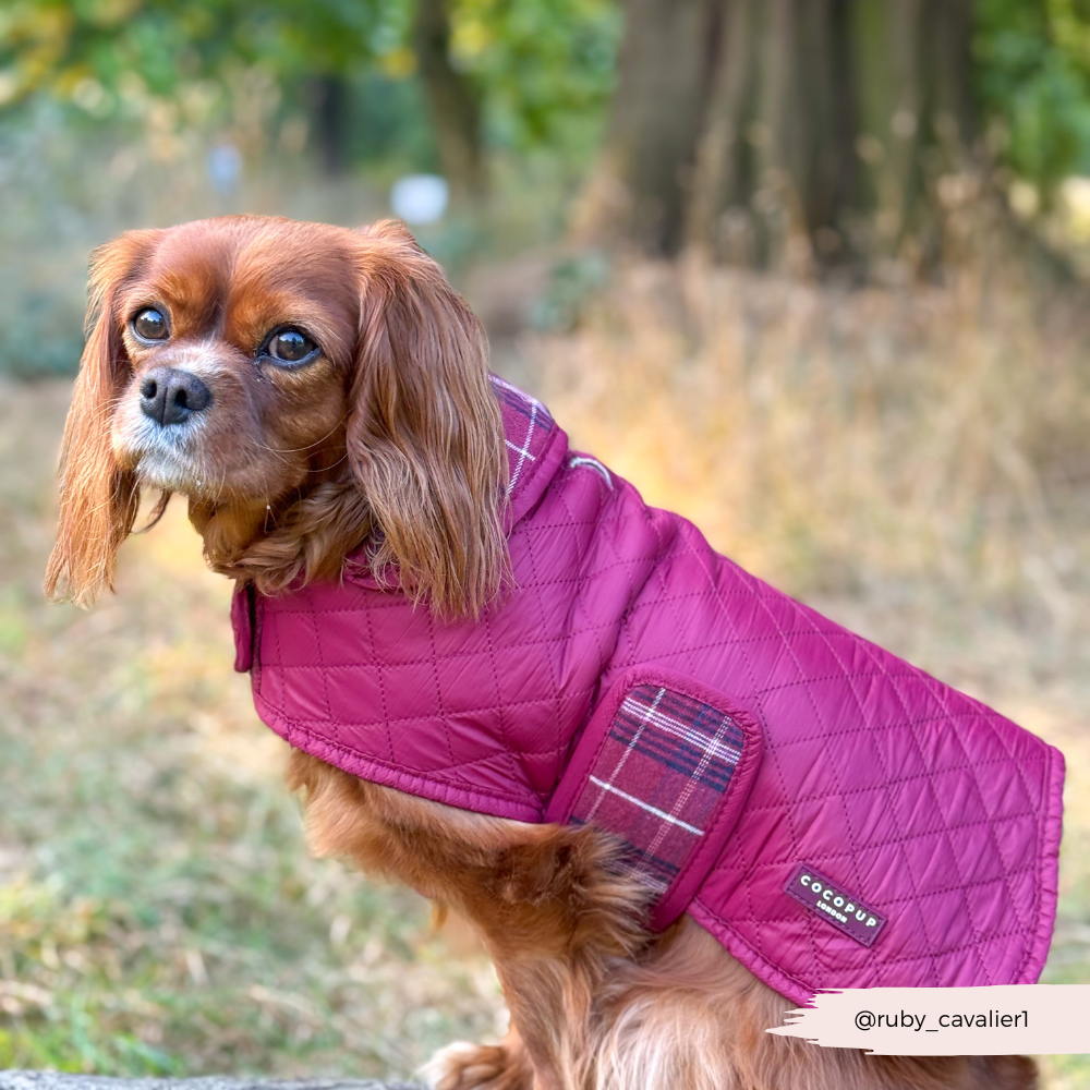 Cocopup London - Wholesale Pet Coat - Dog - LUXE Quilted Dog Coat - Mulberry Plaid11