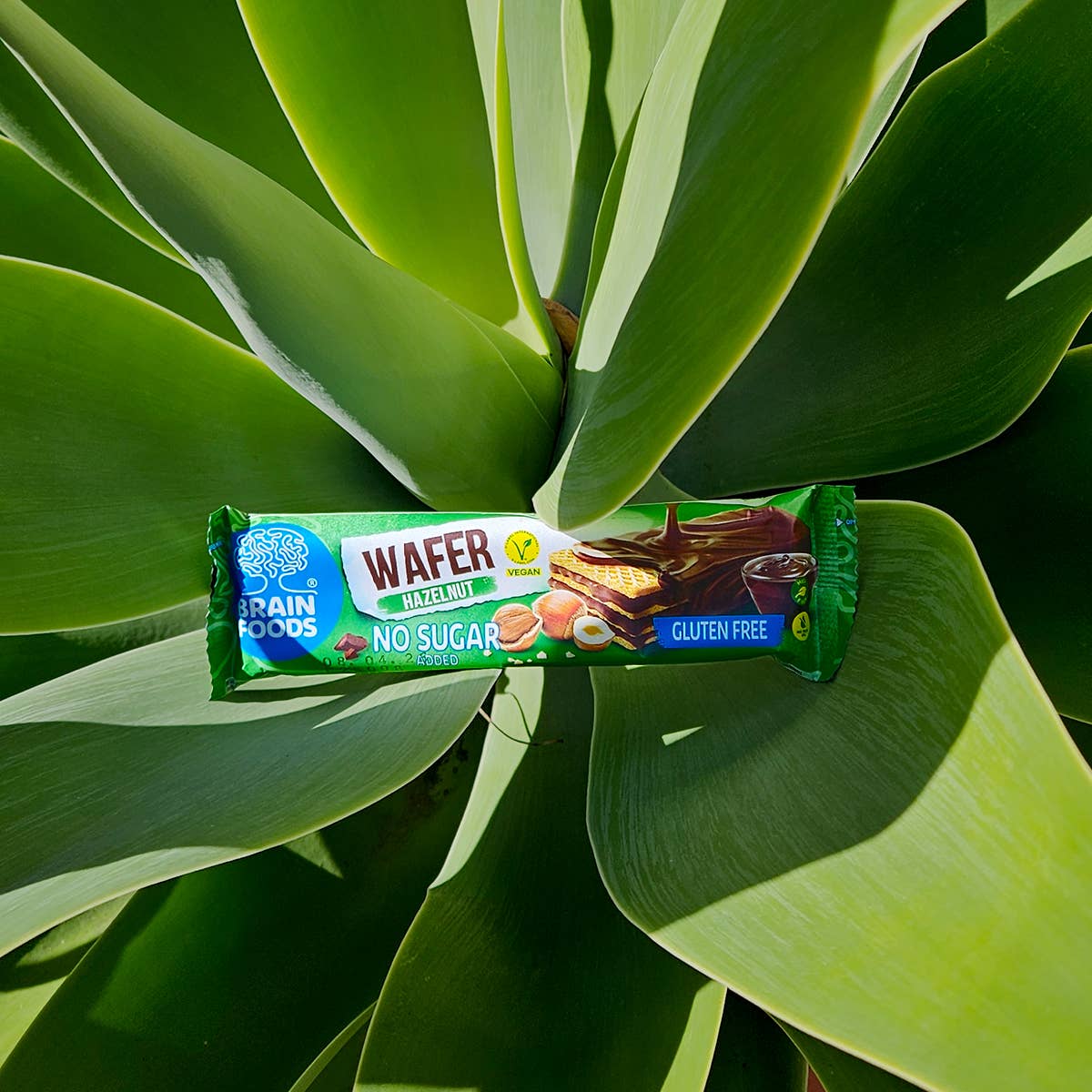 Wilton Mettler LLC - Wholesale Snack Bar - BRAIN FOODS Gluten Free Vegan Wafers (Hazelnut & Chocolate)6