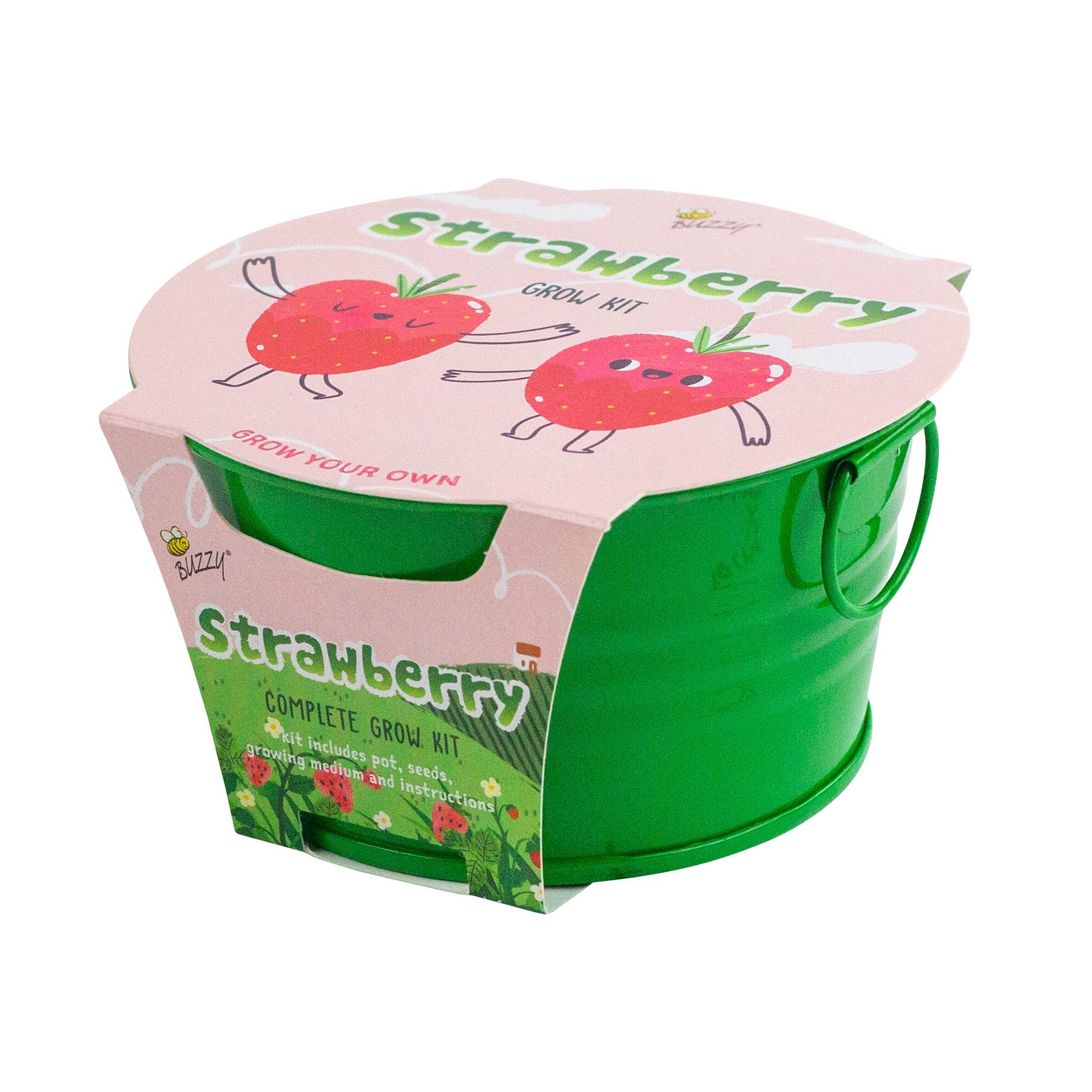 Buzzy Seeds Grow Gifts - Wholesale Plant Seeds - Kids Mini Basin Strawberry Grow Kit – Indoor Garden Gift4