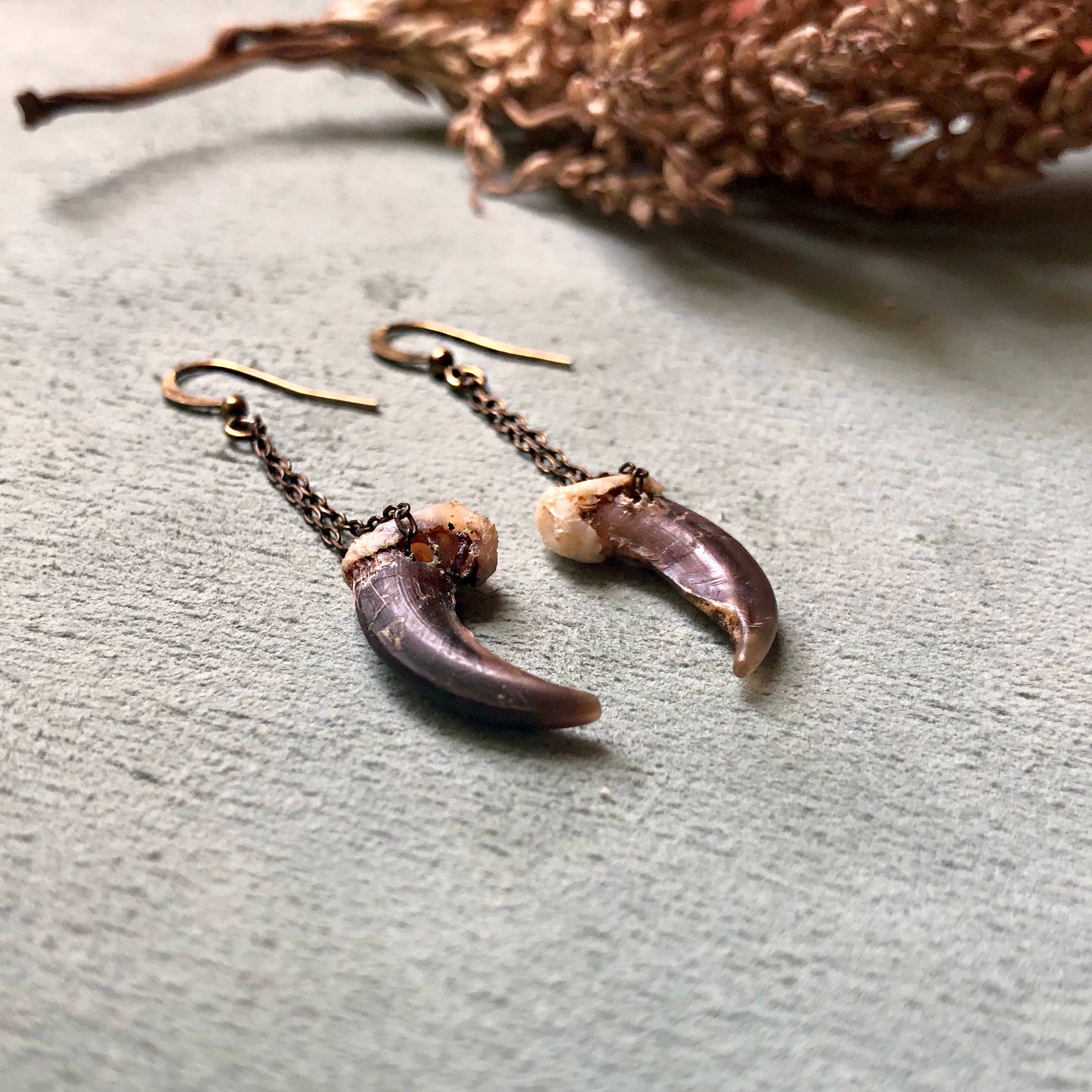 ASTALI - Wholesale Dangle Earrings - Coyote Claw Earrings, Real Claws, Dangle Earrings, Taxidermy2