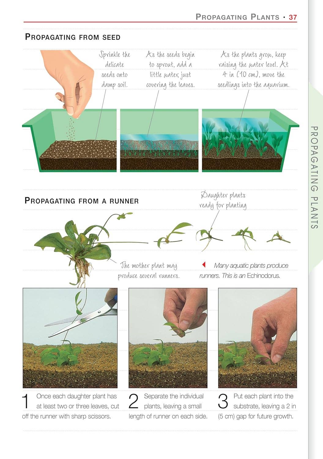 Fox Chapel Publishing - Wholesale Nature & Outdoors - Aquarium Plants3