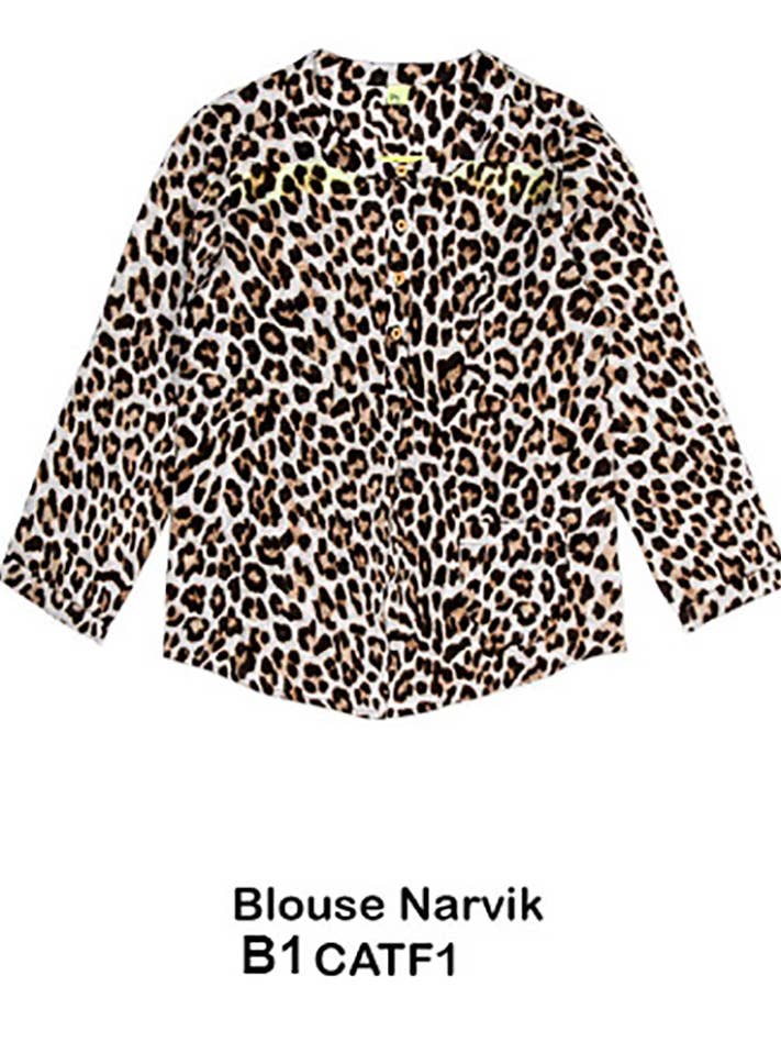 B1 Cat1 för wholesale av Hooy