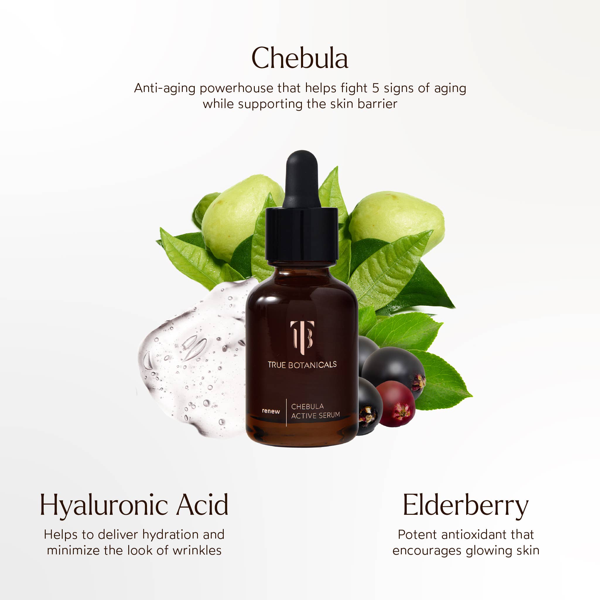 True Botanicals - Wholesale Facial Serum/Concentrate - Anti-Aging Chebula Active Serum1