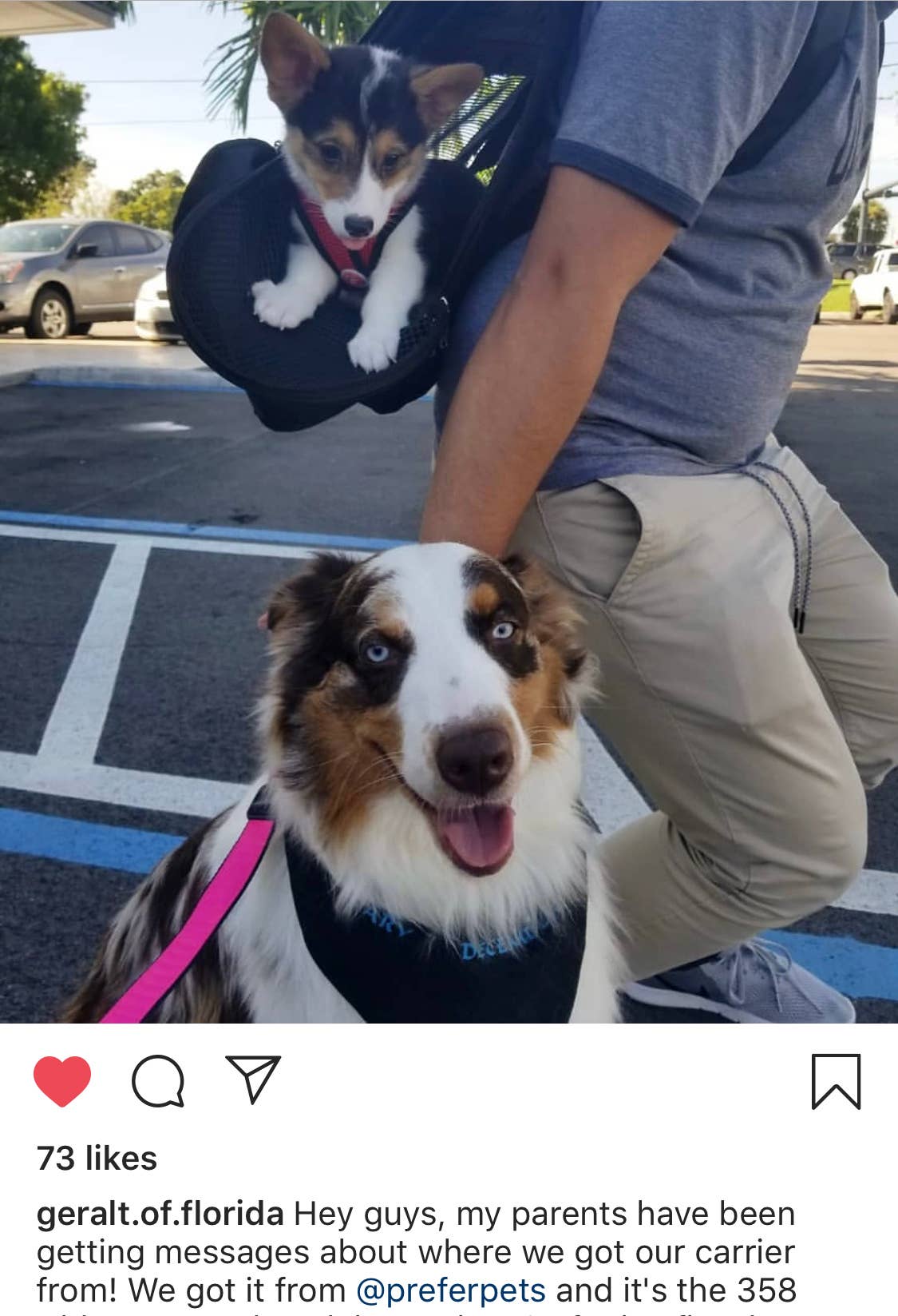 Prefer Pets Travel Gear - Wholesale Pet Carrier - Cat/Dog - Hideaway Backpack - Black1