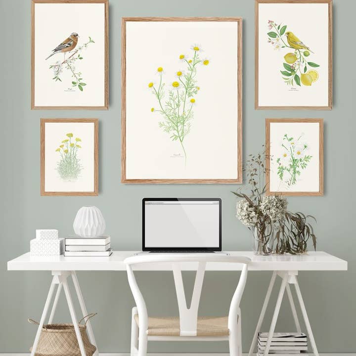 Save the date projects - Wholesale Art Print - MANZANILLA Decorative Film3