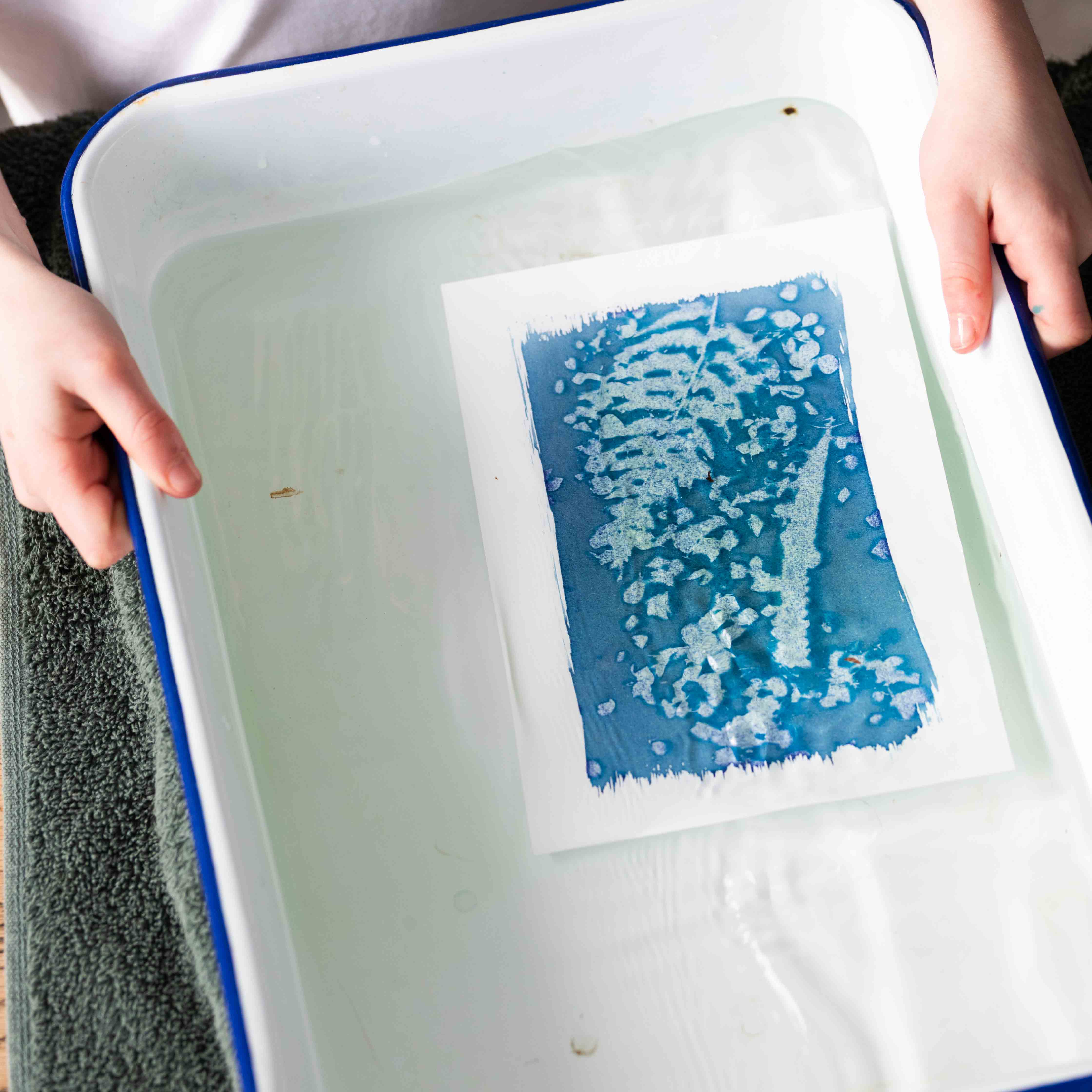 The Wild Darkroom – wholesale DIY craft kit – Cyanotype Printing Paper - A62