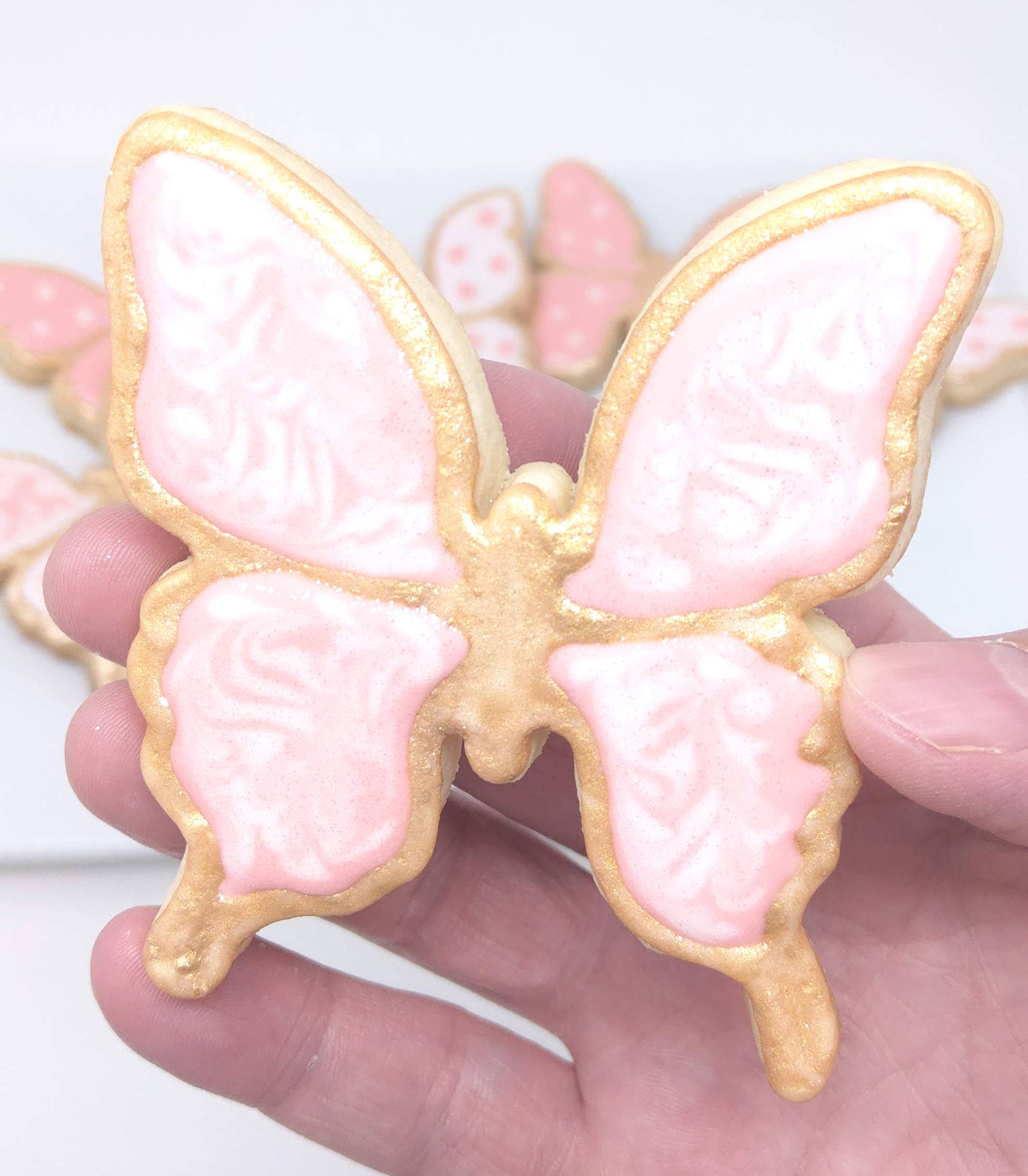 Wild Angel Treats, LLC - Wholesale Cookie - Spring Butterfly Royal Icing Cookies1