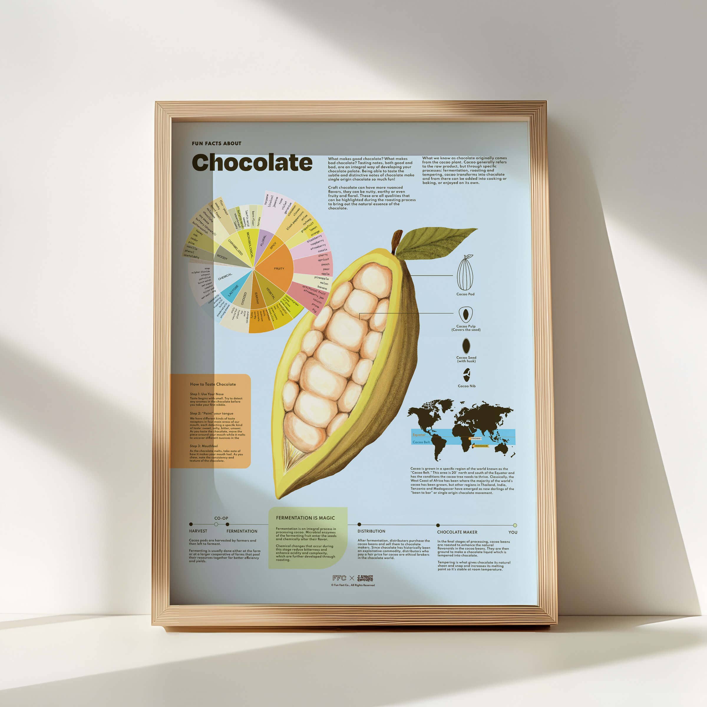 Fun Fact Co. - Wholesale Art Print - Chocolate Fun Facts Print2
