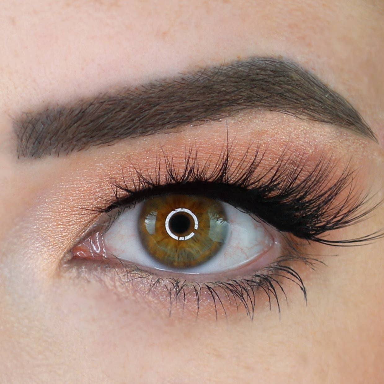 Silly George - Wholesale False/Fake Eyelashes - Aurora Supernatural Lash4