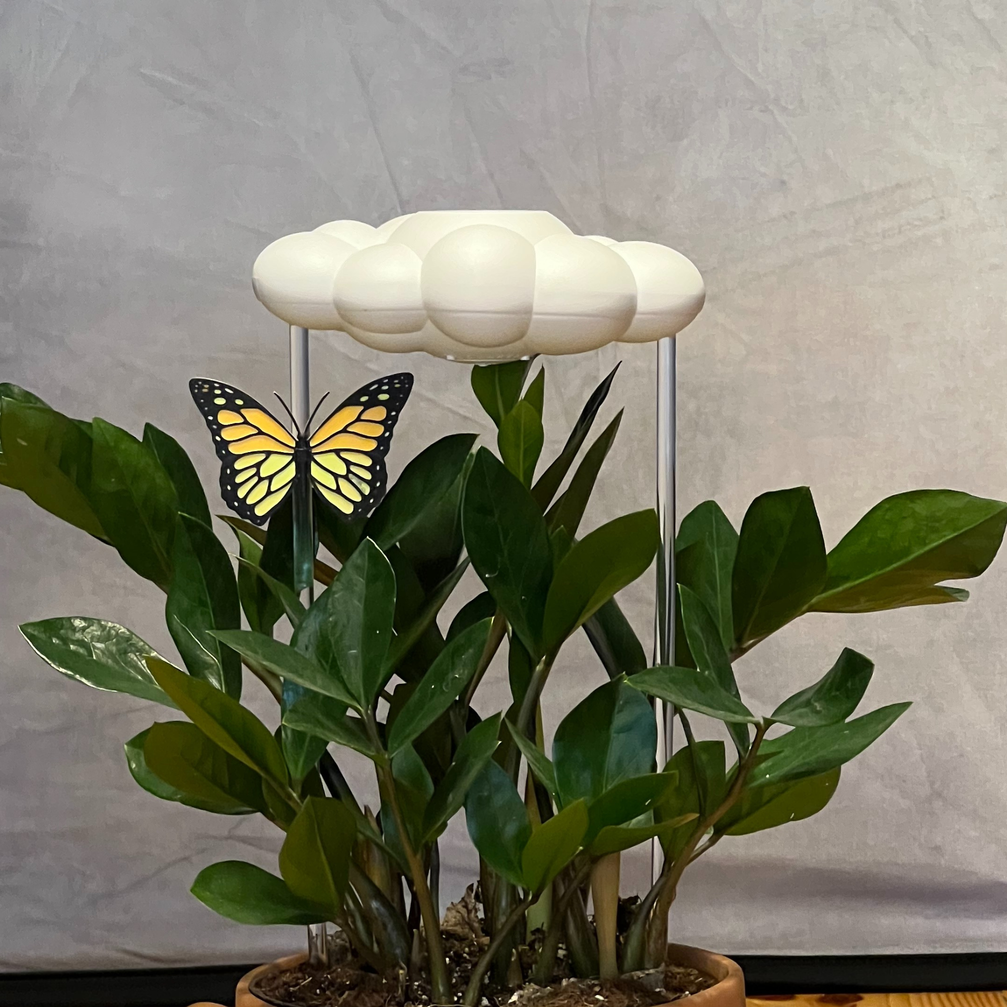 The Cloud Makers – Engroshandel Plantekrukke – Orange sommerfuglcharme til dryppende regnskyer3