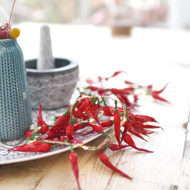 Chilli Lights - Battery Operated and other Purchase Wholesale led ice bucket. Free Returns & Net 60 Terms on Faire trending on Faire.