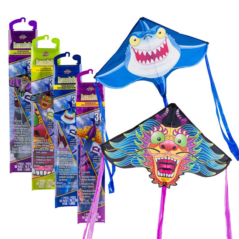 Deluxe Import Trading - Wholesale Sporting Game - Kids & Baby - Nylon Kite 30" Assorted Characters0